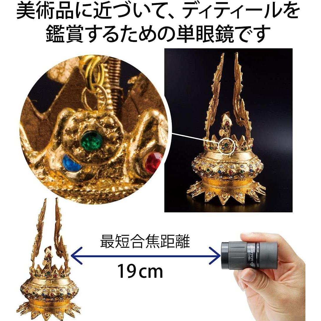 Monocular Kenko Gallery Eye 4x12 Negro, Enfoque 19cm, Japón