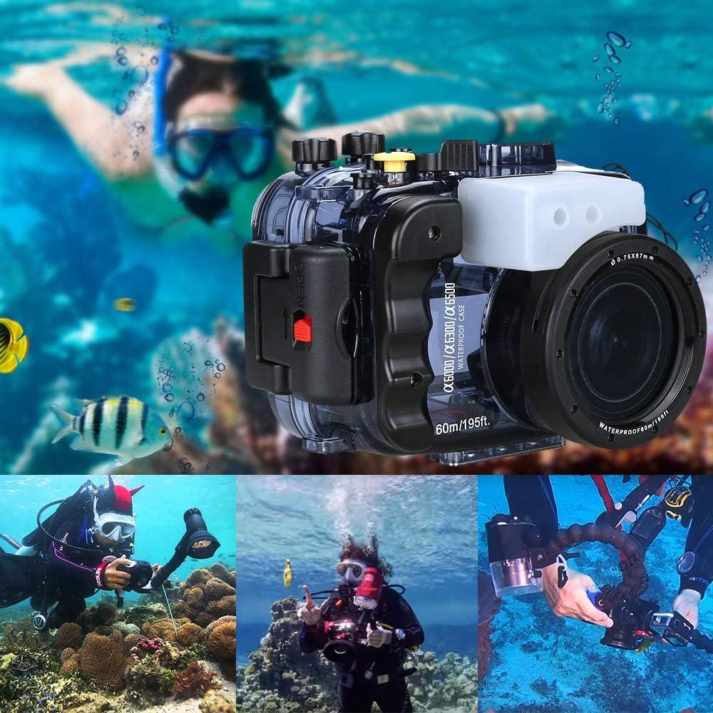 Carcasa Submarina Impermeable Seafrogs para Sony A6000 A6300 A6500