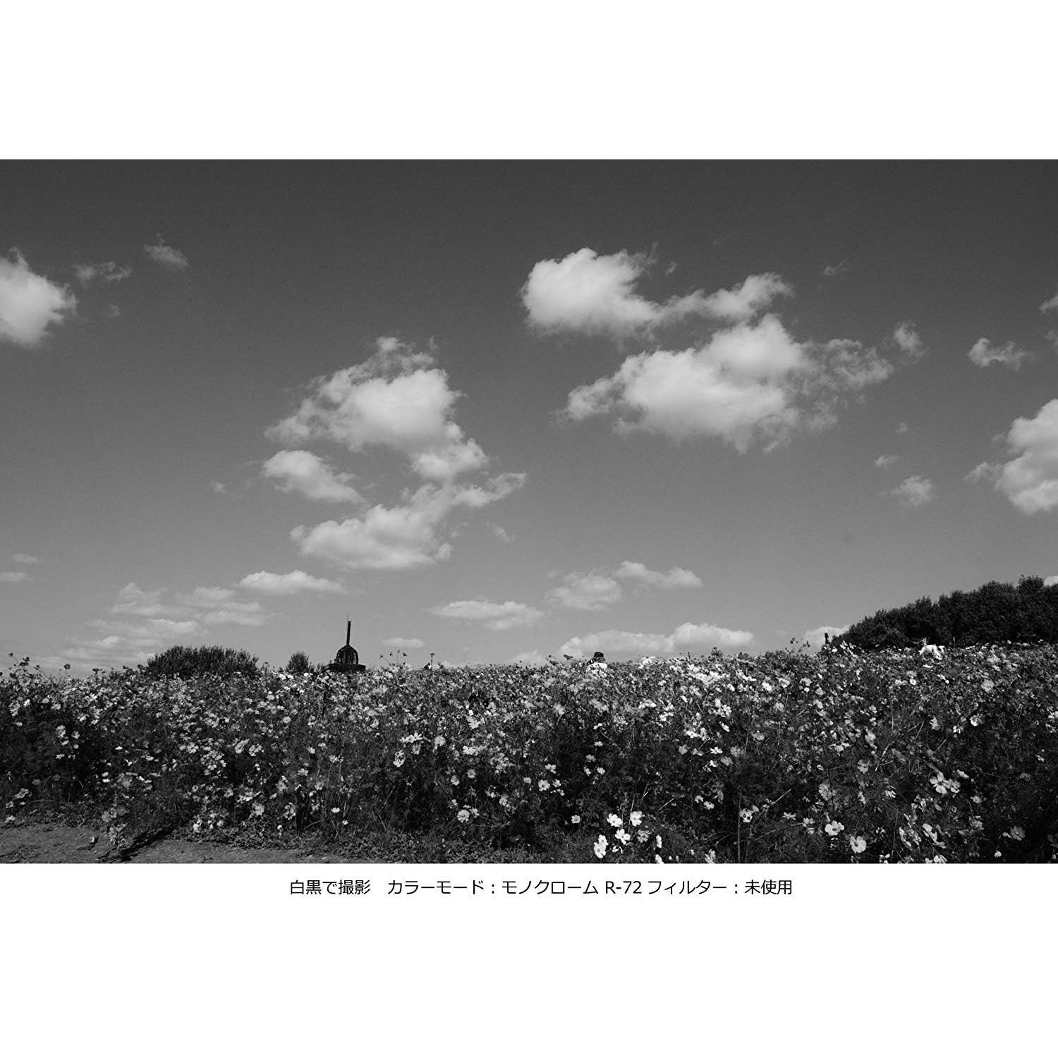 Filtro Infrarrojo Kenko PRO1D R72 77mm para Cámara Digital