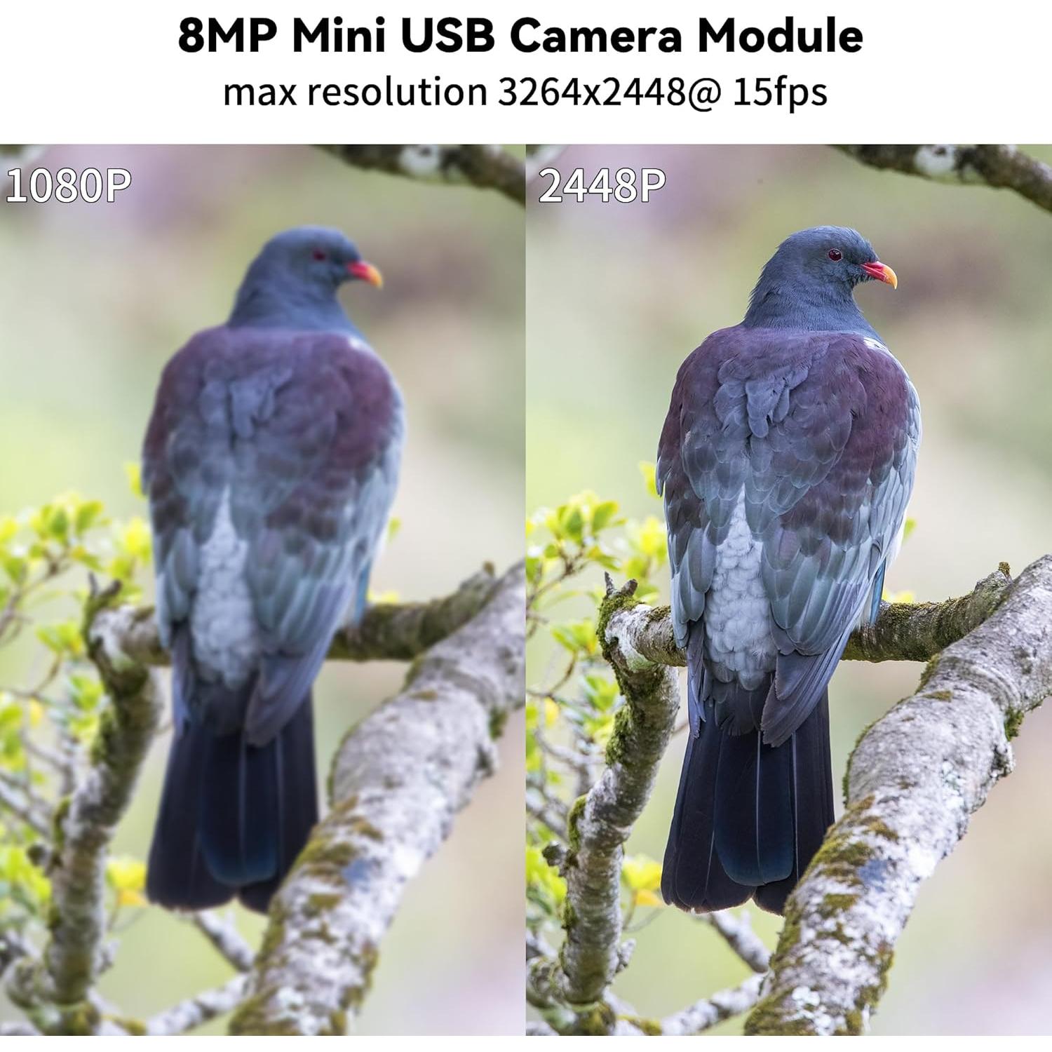 Módulo de Cámara USB 8MP Magnolia IMX179 3264x2448 HD