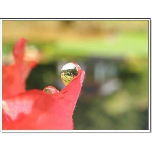 Lente Gran Angular 0.45x Hyla Optics para Sony Handycam