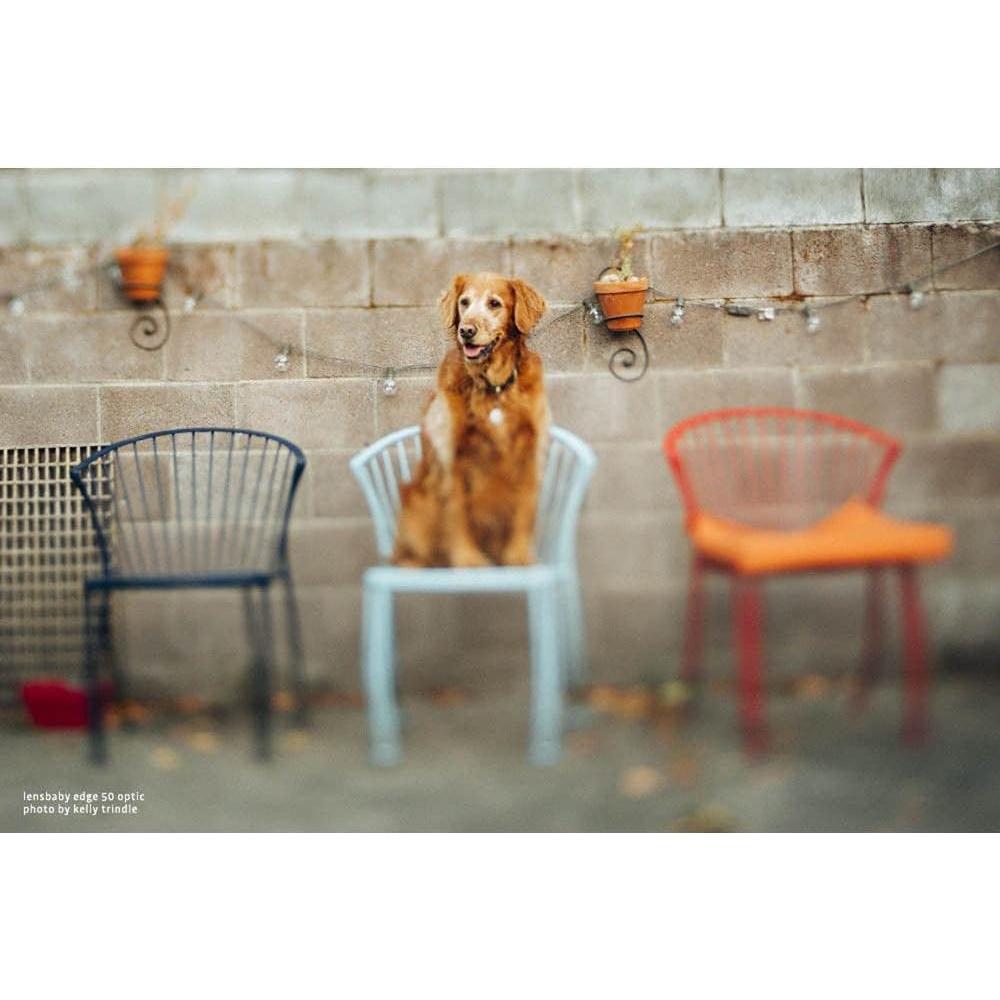 Lente Composer Pro II Lensbaby Edge 50mm f/3.2