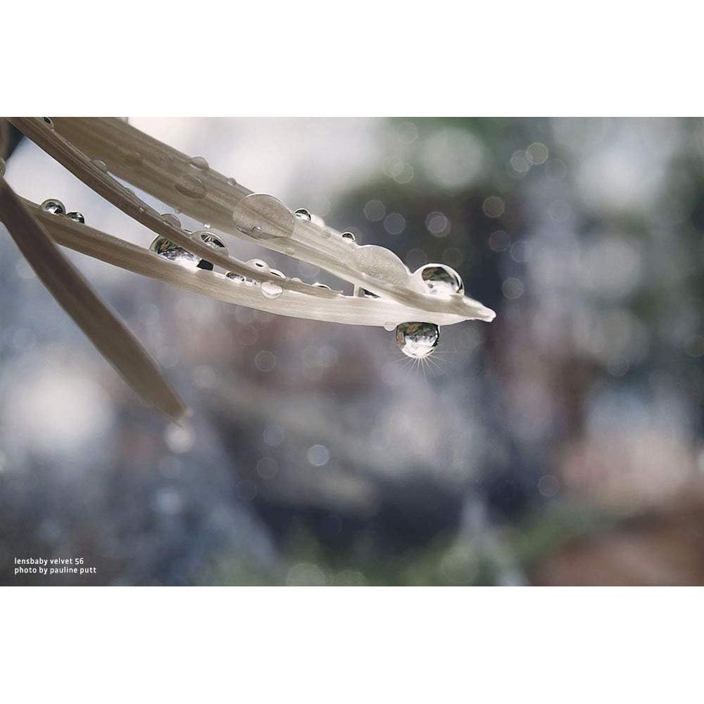 Lente Velvet 56mm f/1.6 Lensbaby para Nikon Z - Macro 1:2