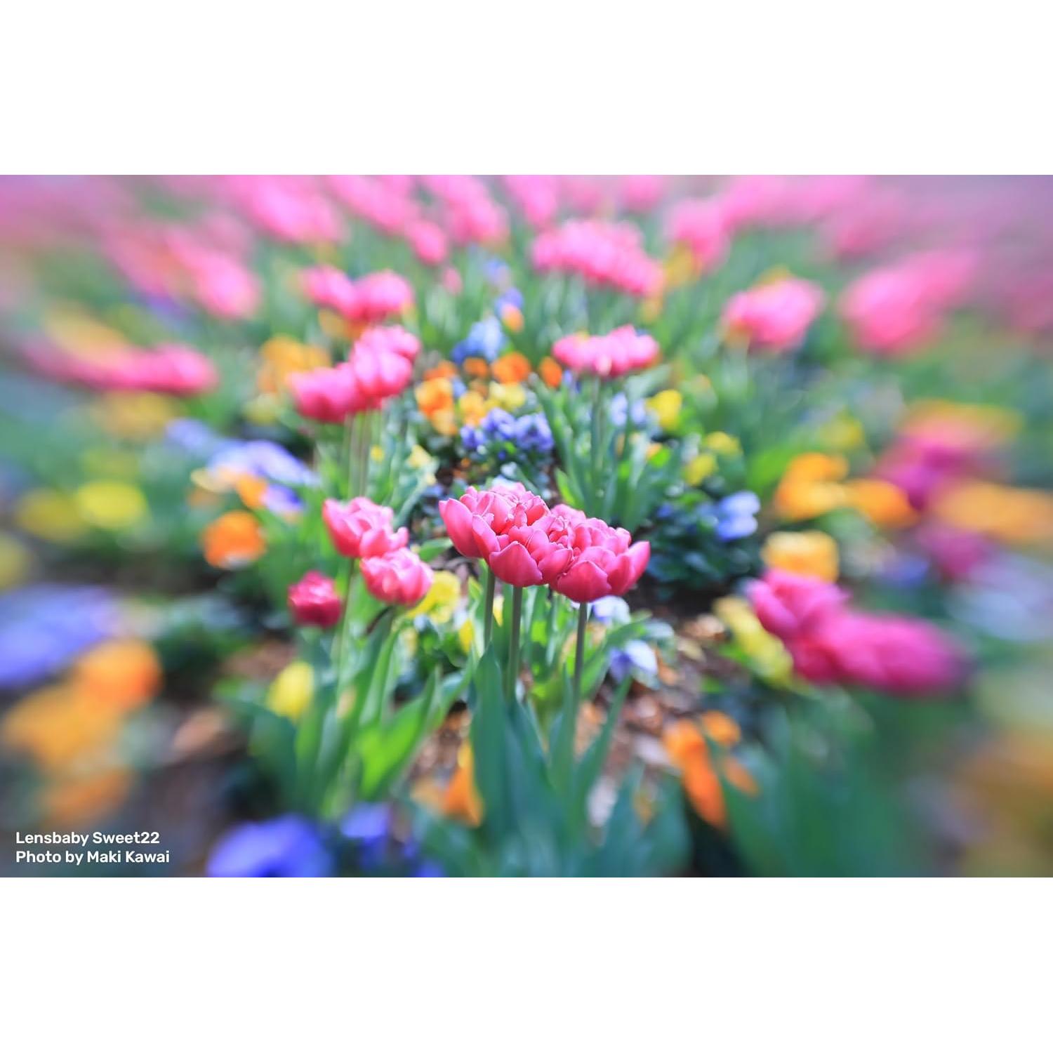 Lente Pancake Lensbaby Sweet 22 para Fuji X - 22mm f/3.5