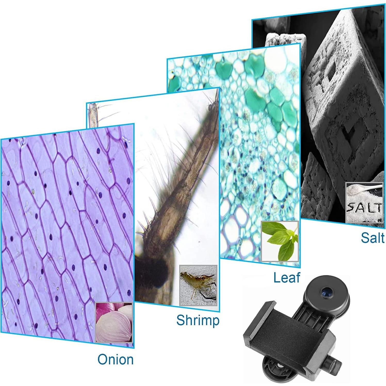 Adaptador de Cámara para Smartphone Celticbird 23.2mm Ocular 16X