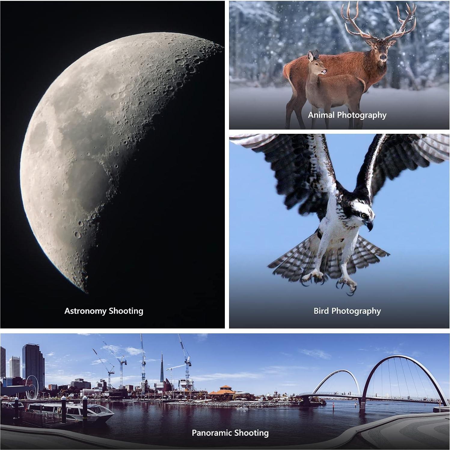 Cabezal de Trípode Gimbal NEEWER GM101 Aluminio 30kg