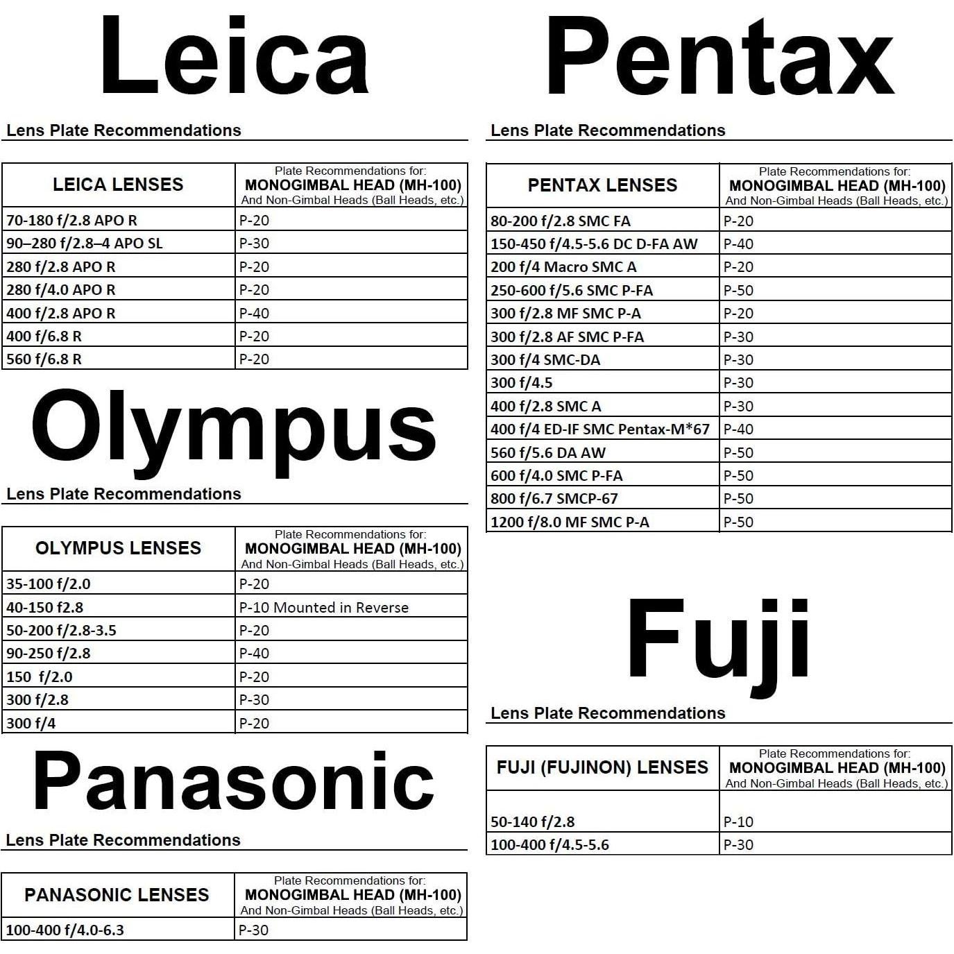 Cabezal MonoGimbal Wimberley MH-100 para Monopodios