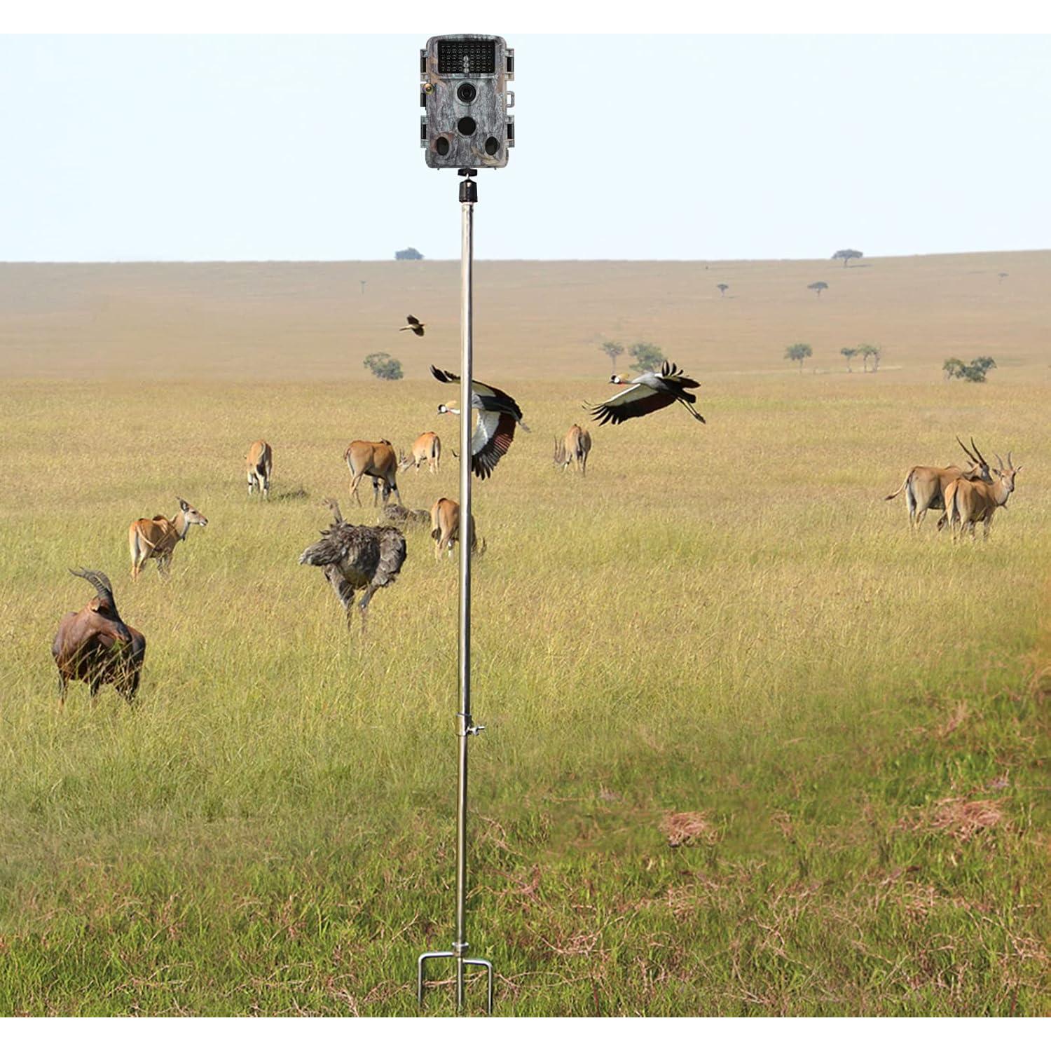 Soporte Plegable para Cámara de Caza Adfitjo 40-80cm Ajustable