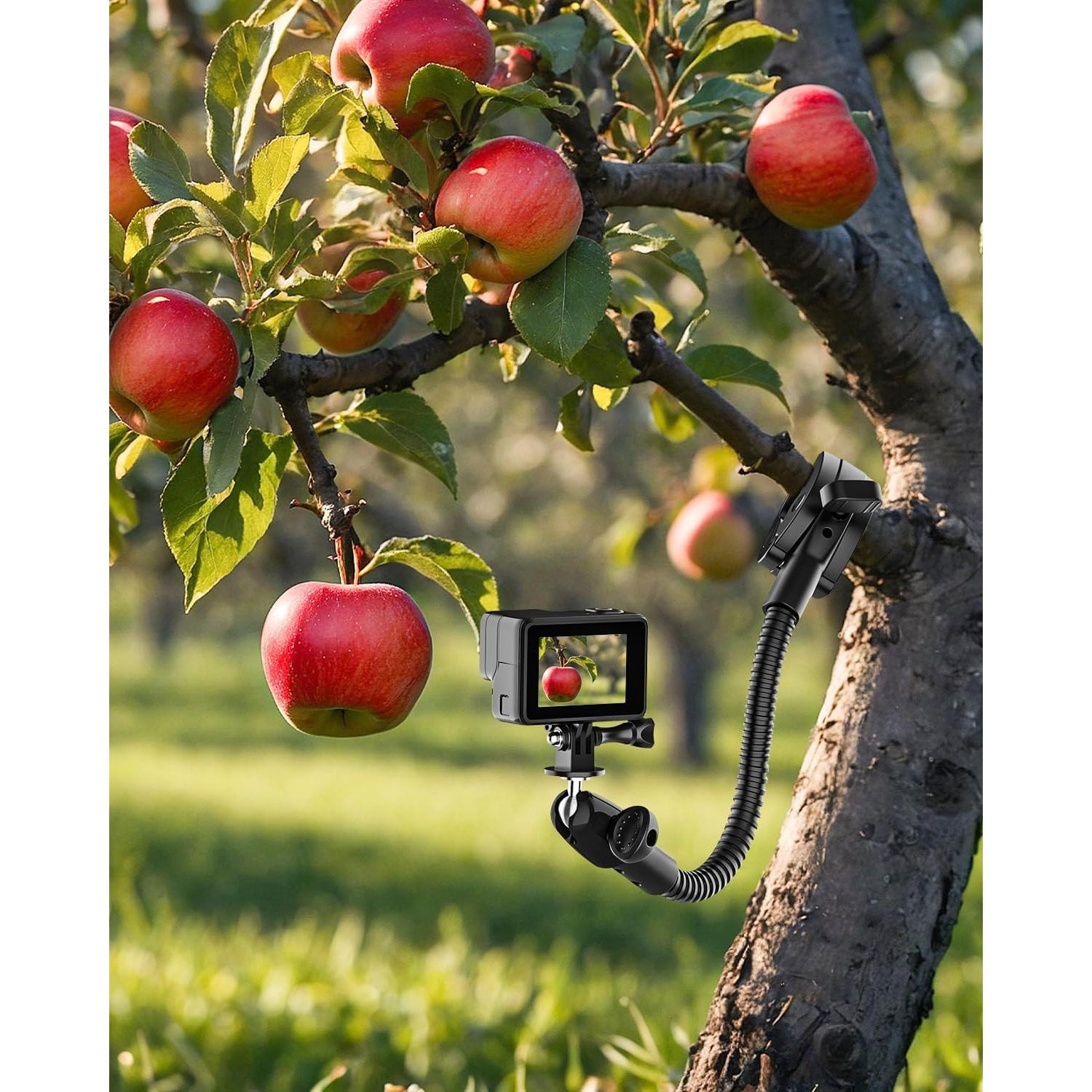 Soporte de Cámara Gooseneck Woleyi Ajustable 360° para DSLR/Gopro