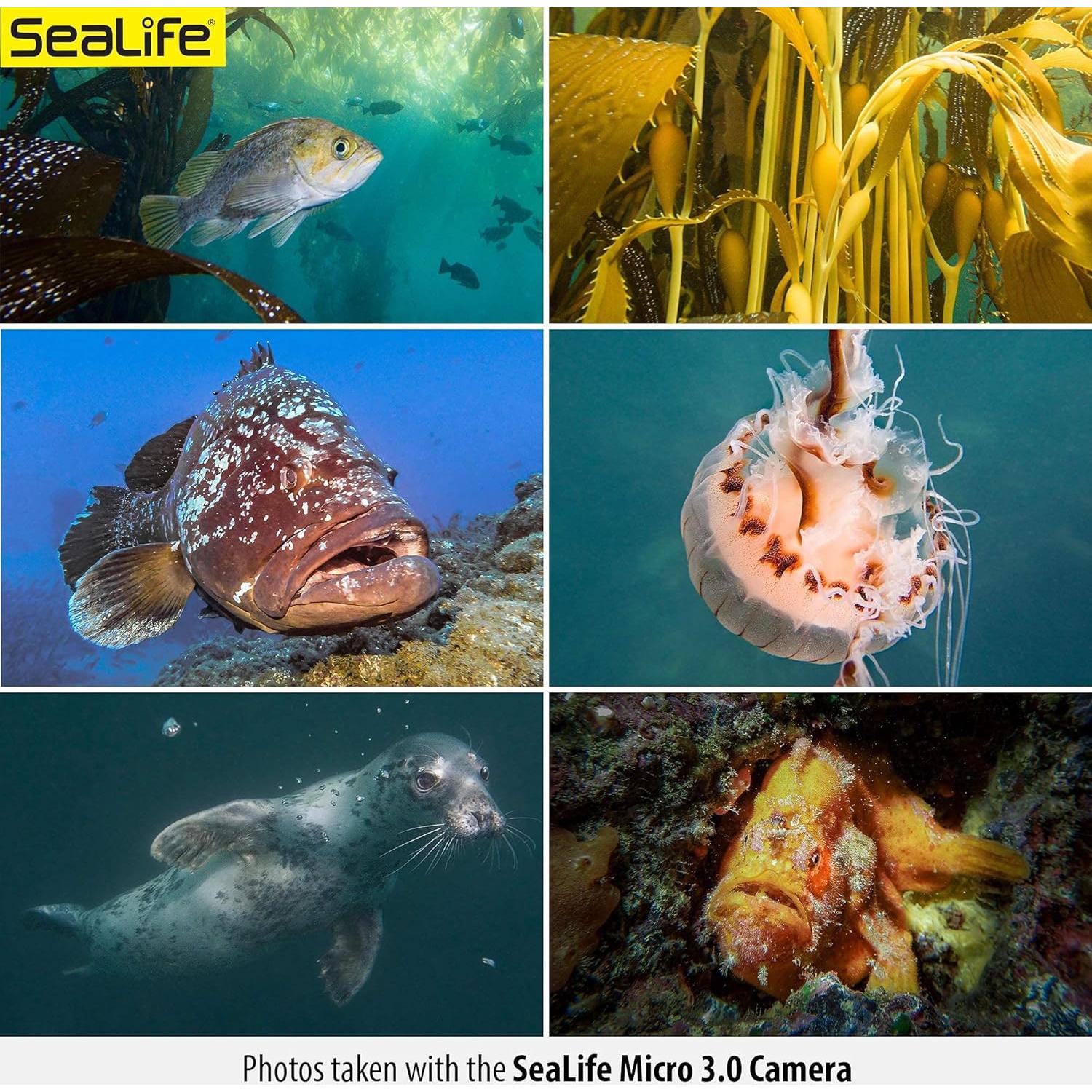 SeaLife Micro 3.0 Pro Duo 5000 Set Underwater Camera & Dual Light Set for Photography and Video, Easy Set-up, Wireless Transfer, Includes Travel case