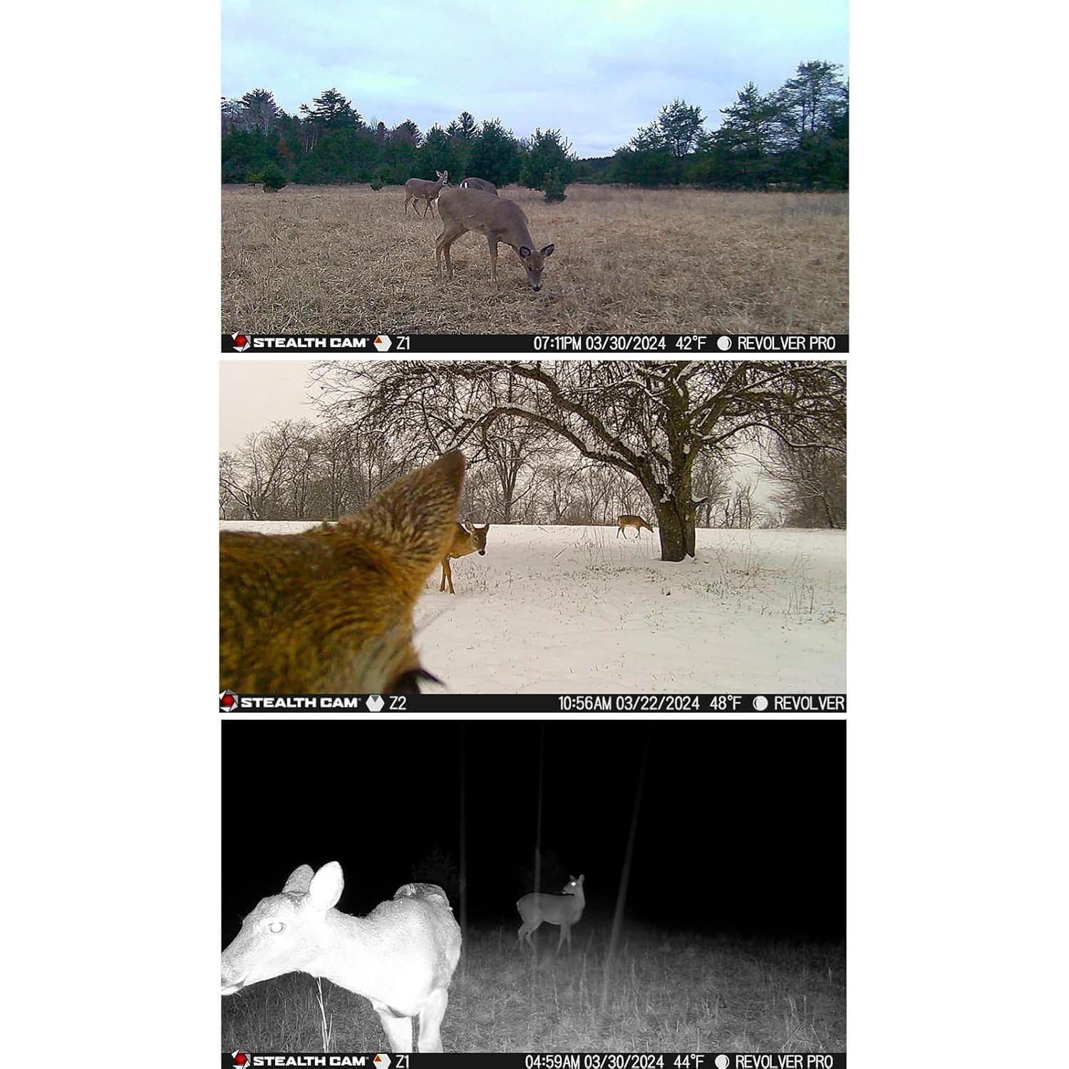 Cámara de Sendero Stealth Cam Revolver PRO 40MP 1440P GPS