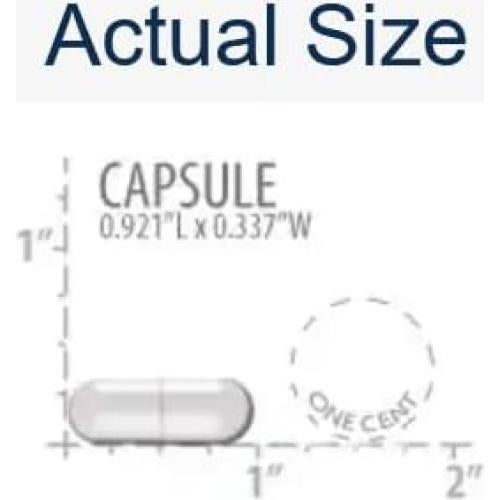 Suplemento de Magnesio L-Treonato Life Extension 90 Cápsulas