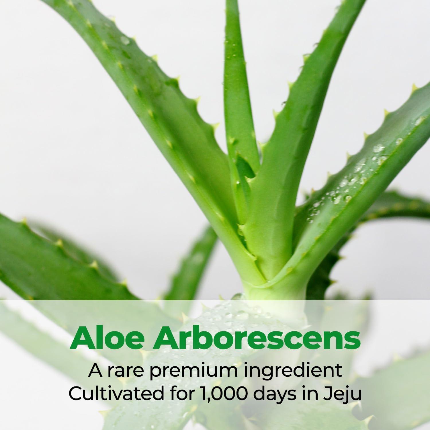 Crema Hidratante Intensiva 2X Cure Aloe 50ml K-Beauty