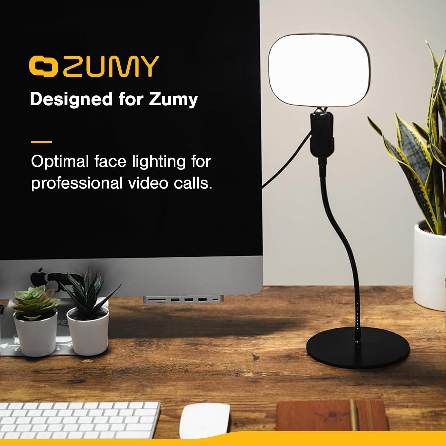 Soporte de Luz de Montaje en Escritorio Zumy ZDFS-01 - Base Pesada