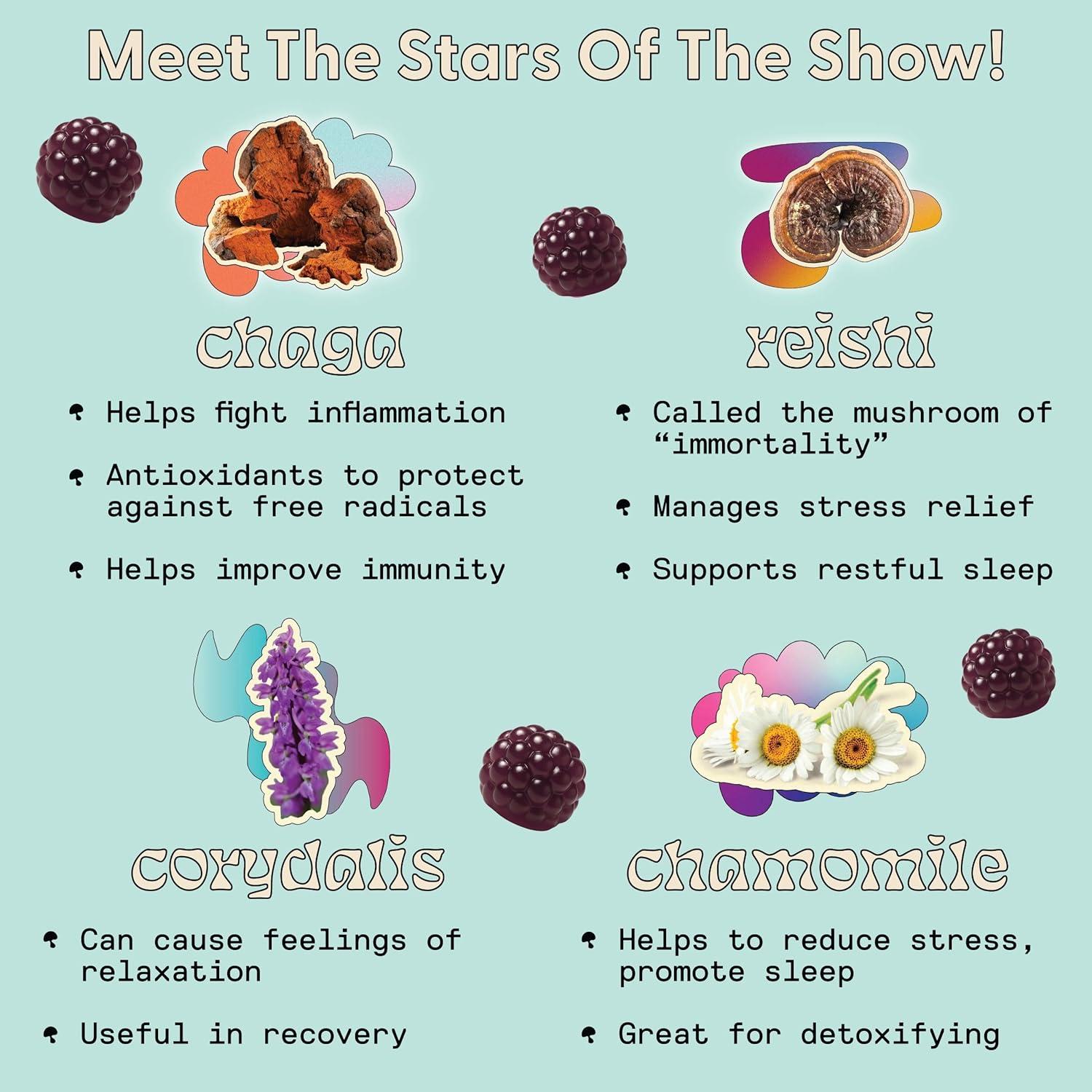 Gomitas para Dormir SuperMush 60 Unidades - Veganas y Sin Azúcar