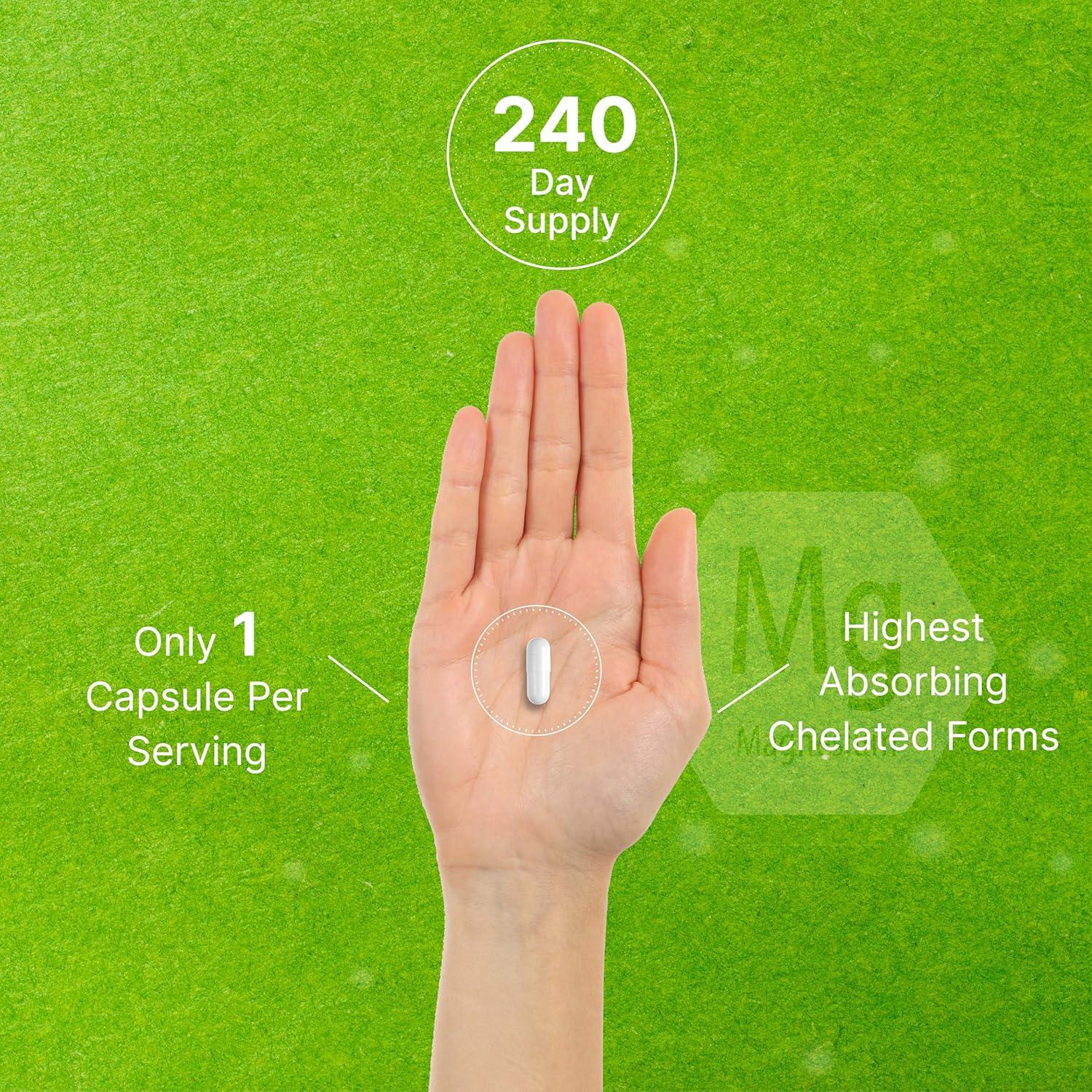 Complejo de Magnesio 500mg Deal Supplement 240 Cápsulas Vegetales