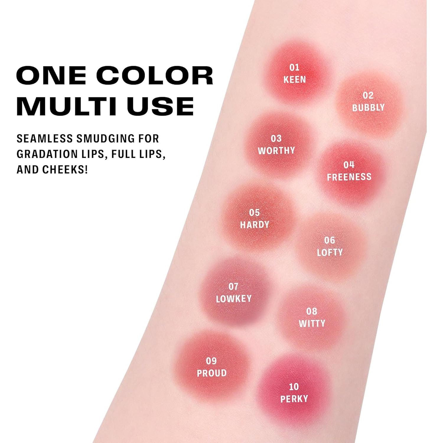 Rubor y bálsamo BRAYE Lipsleek Blur 2.27g - Color 09 Orgullo