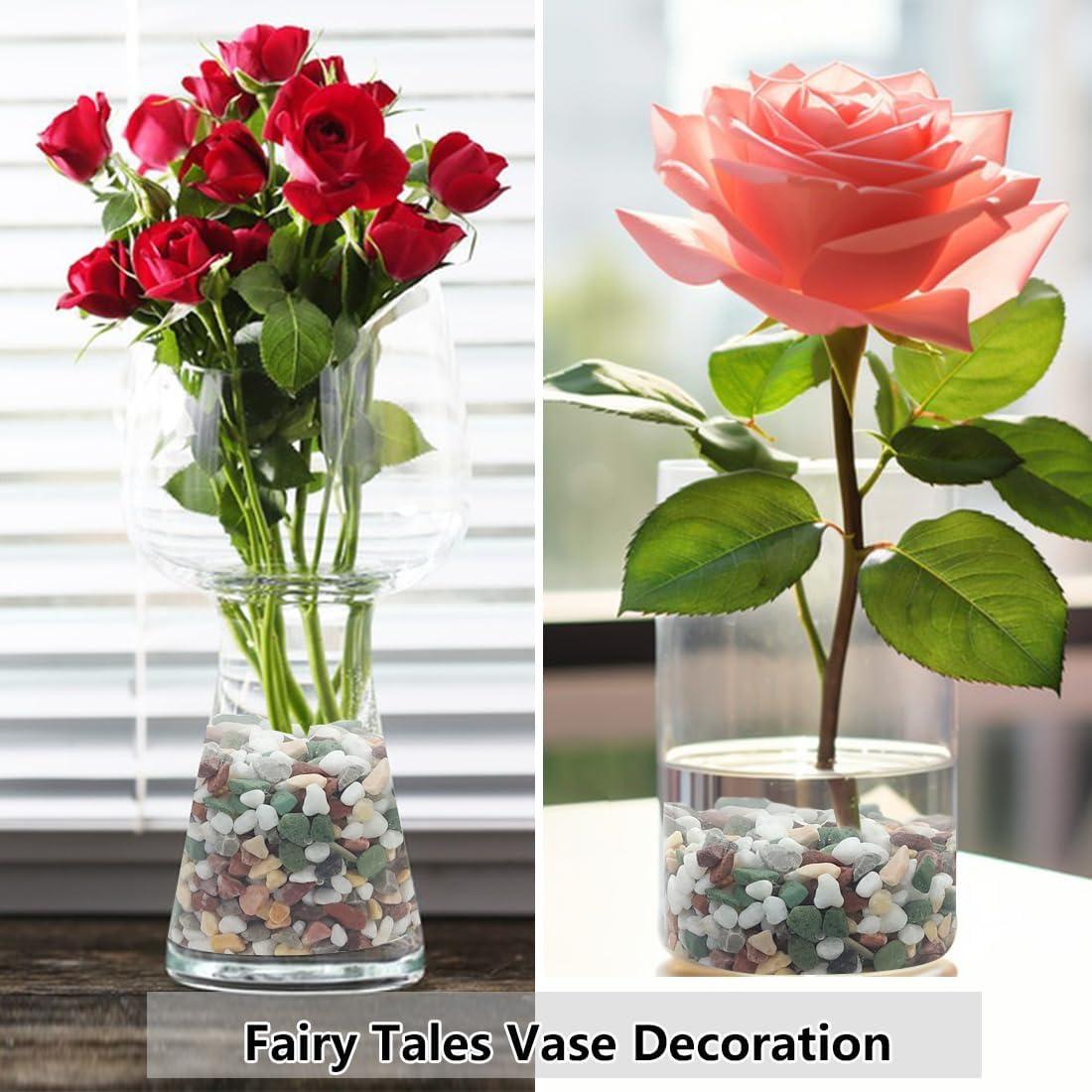 Grava Decorativa YISZM 2kg para Suculentas y Cactus