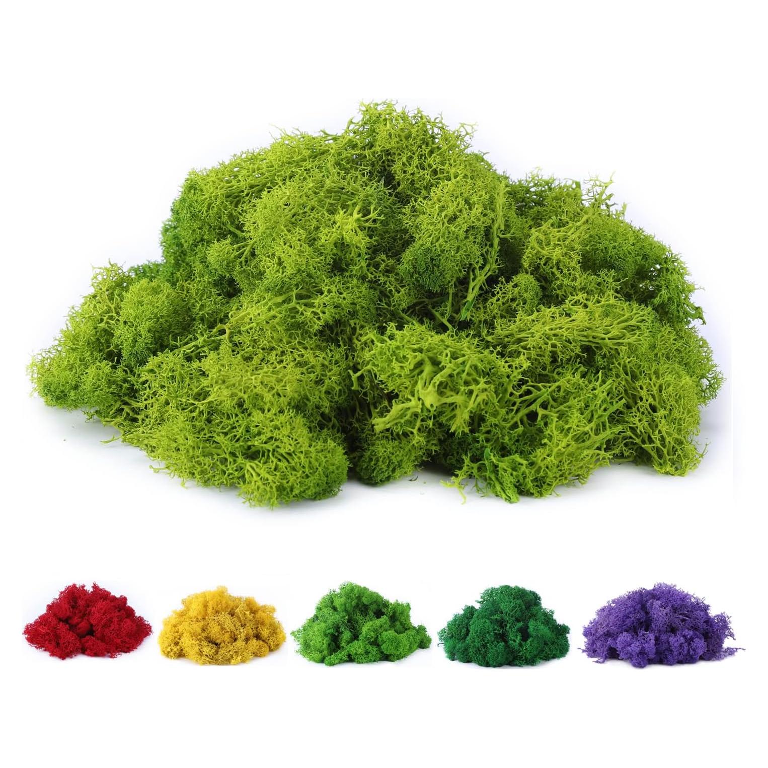 Musgo Falso Preservado Chartreuse 99.7g para Manualidades