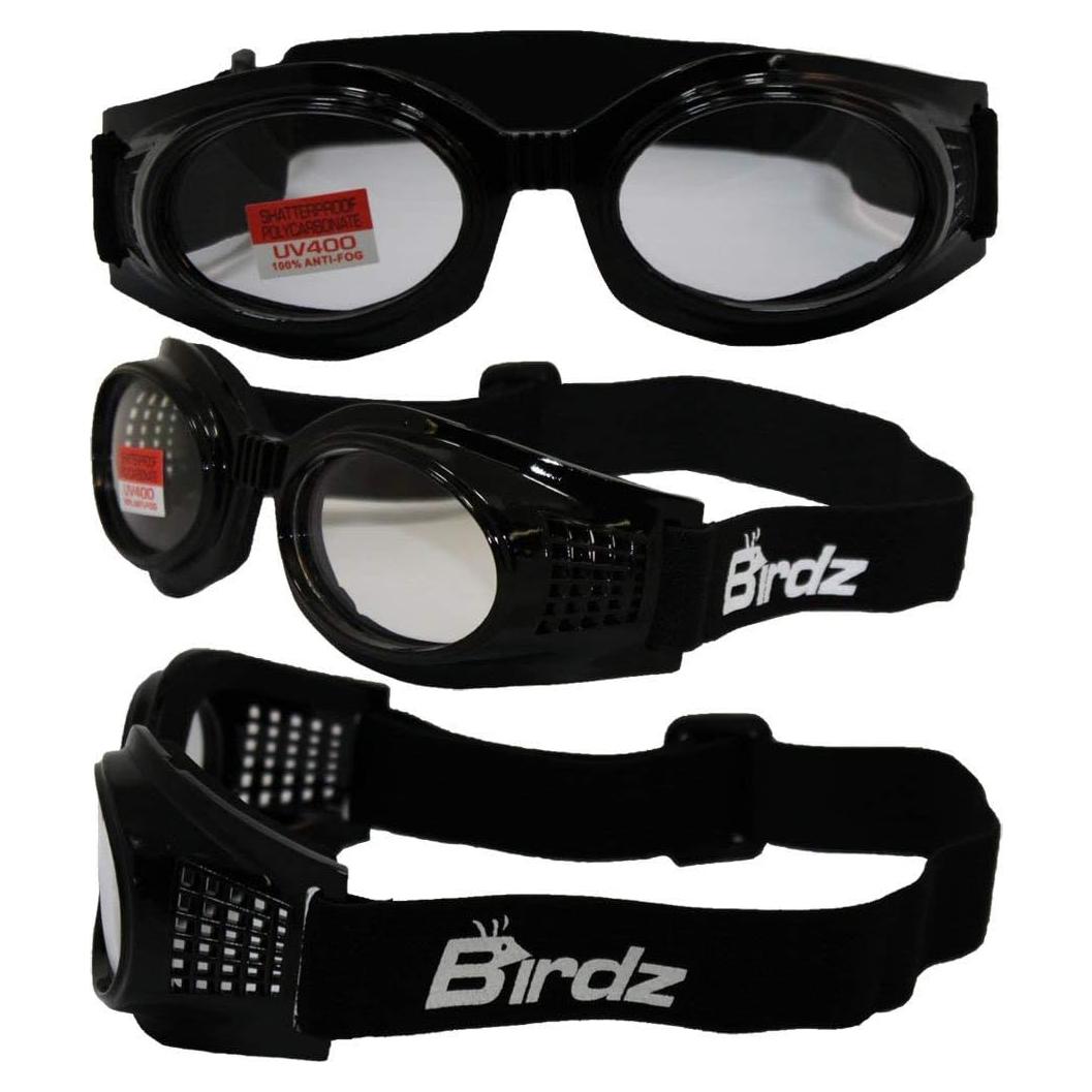 Gafas de Motocicleta Birdz Eyewear Kite Lentes Claros