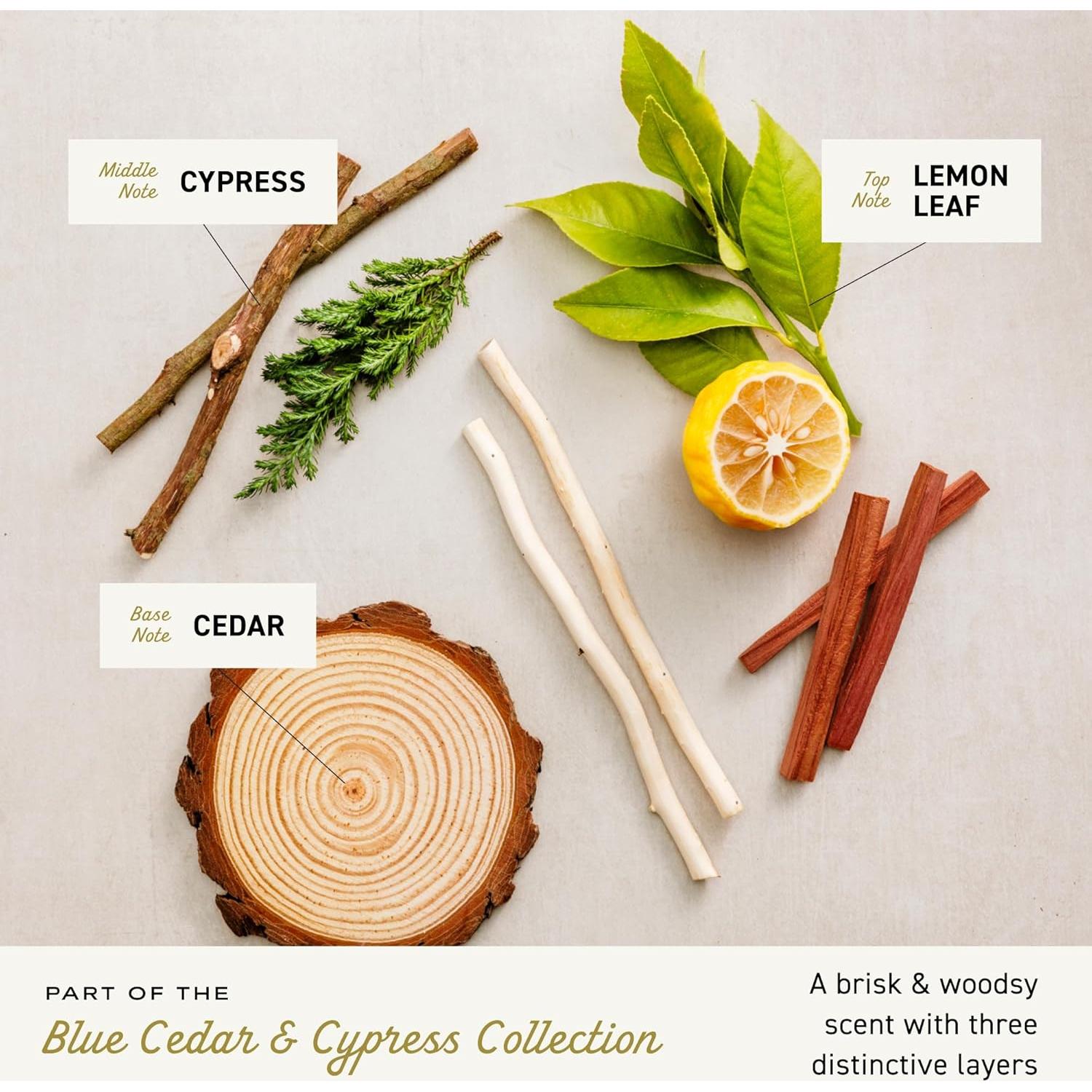 Gel de Ducha para Hombres Cremo 473 ml Aroma Boscoso