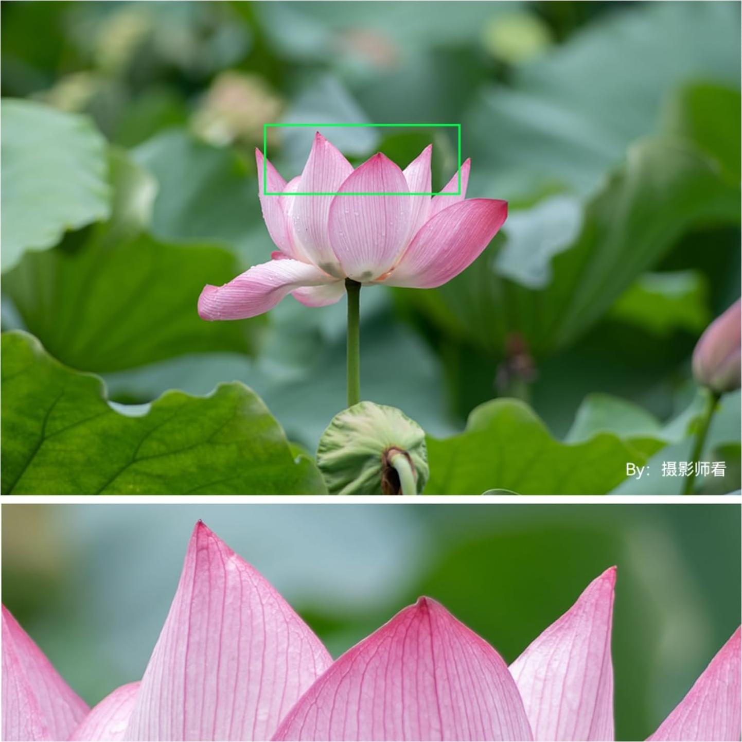 Lente Telefoto TTArtisan 500mm F6.3 Montura L Enfoque Manual