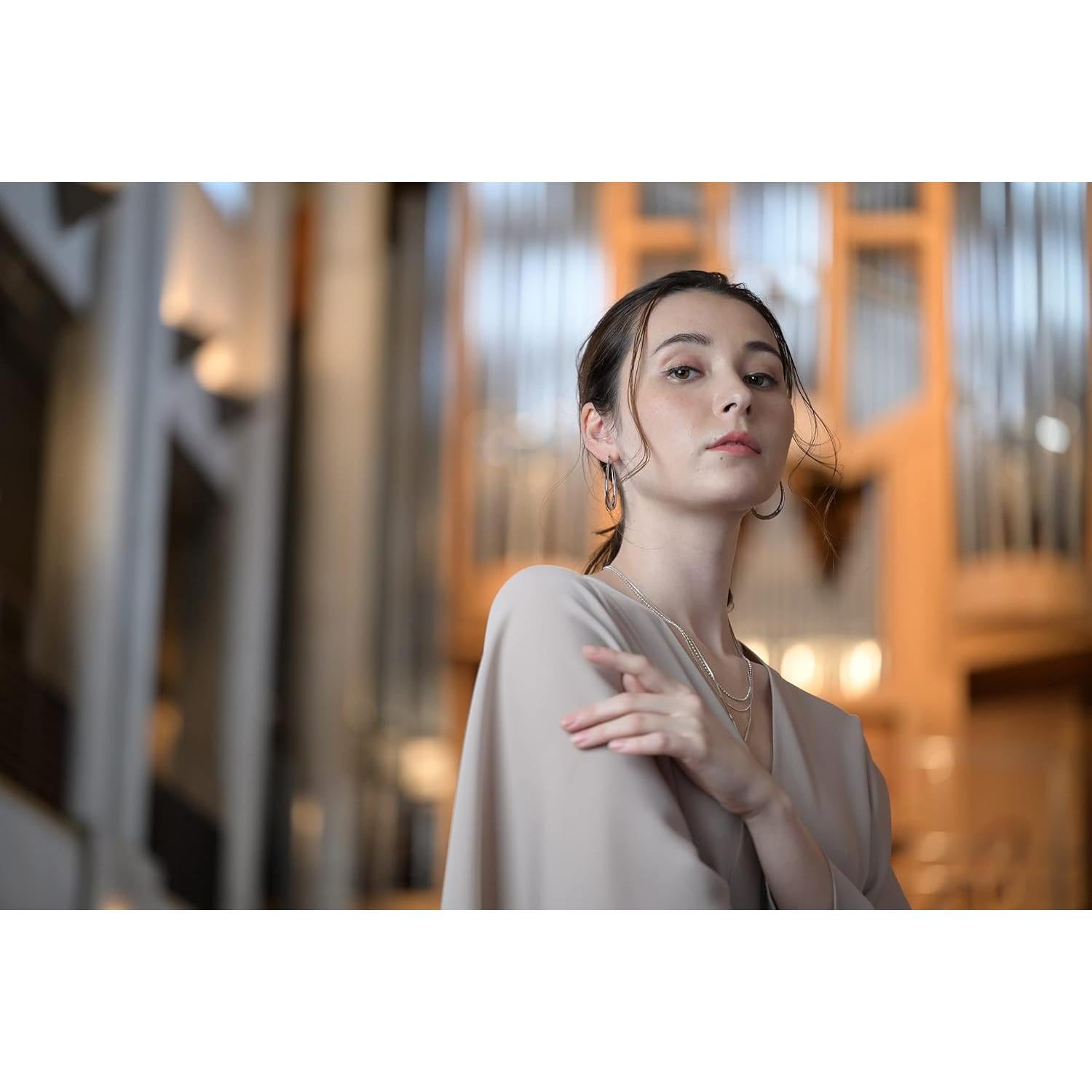 Lente Macro Nikon NIKKOR Z MC 105mm f/2.8 VR S