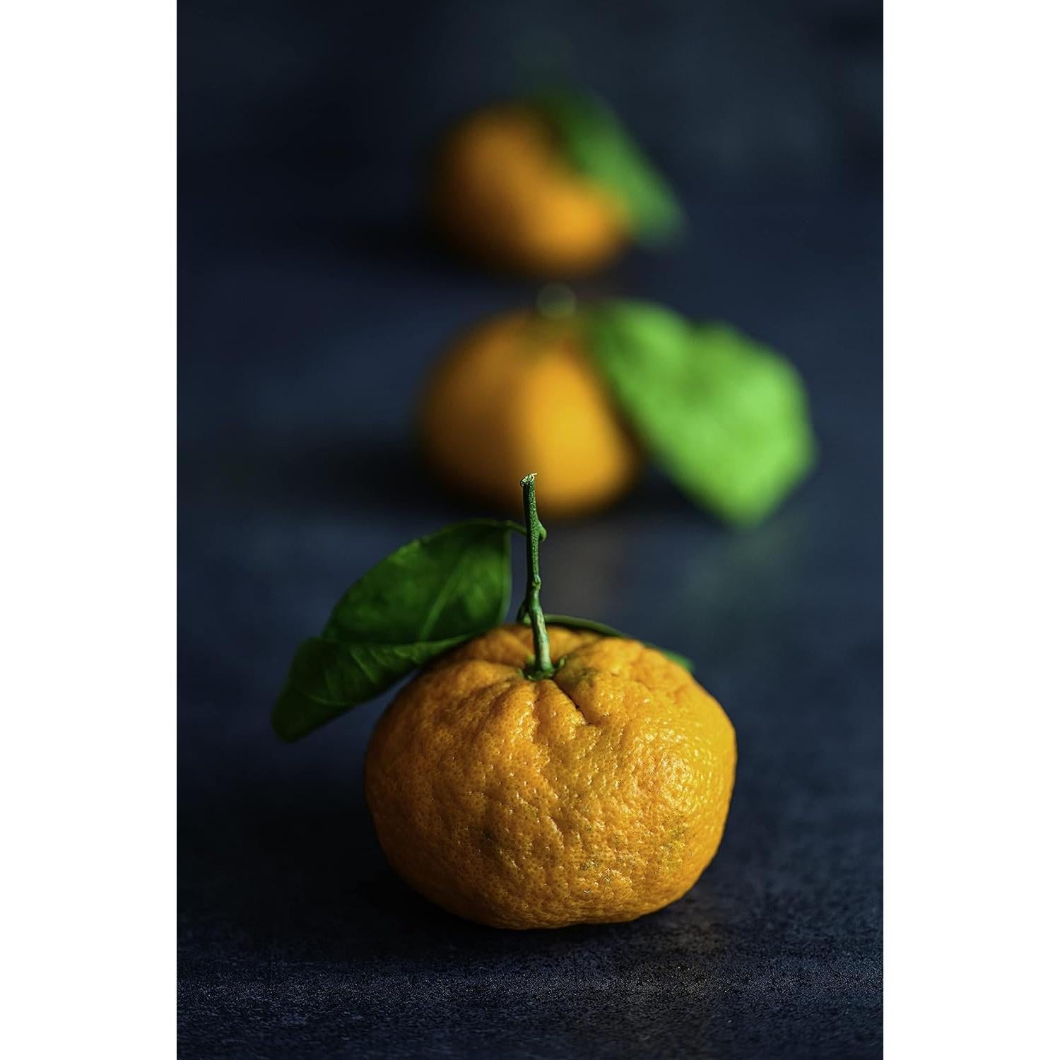 Lente Macro Nikon NIKKOR Z MC 105mm f/2.8 VR S