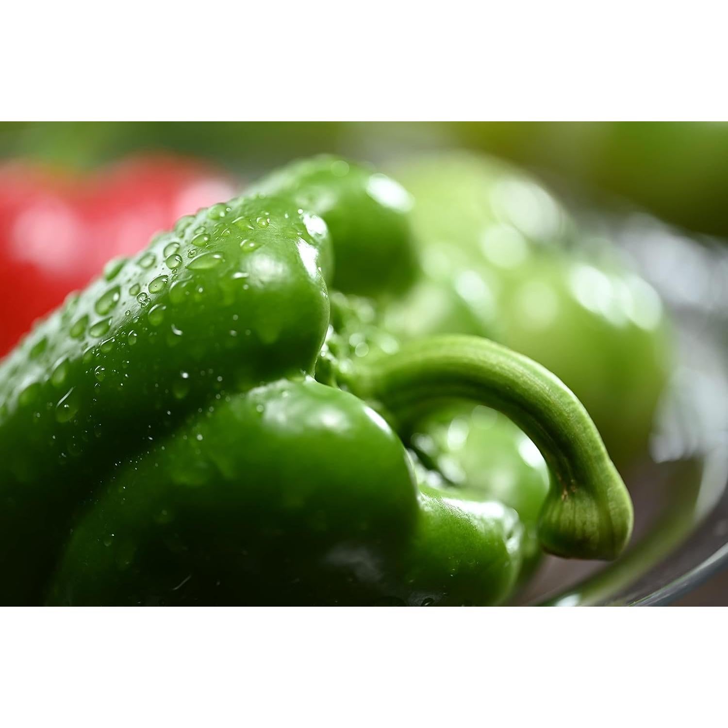 Lente Macro Nikon NIKKOR Z MC 105mm f/2.8 VR S