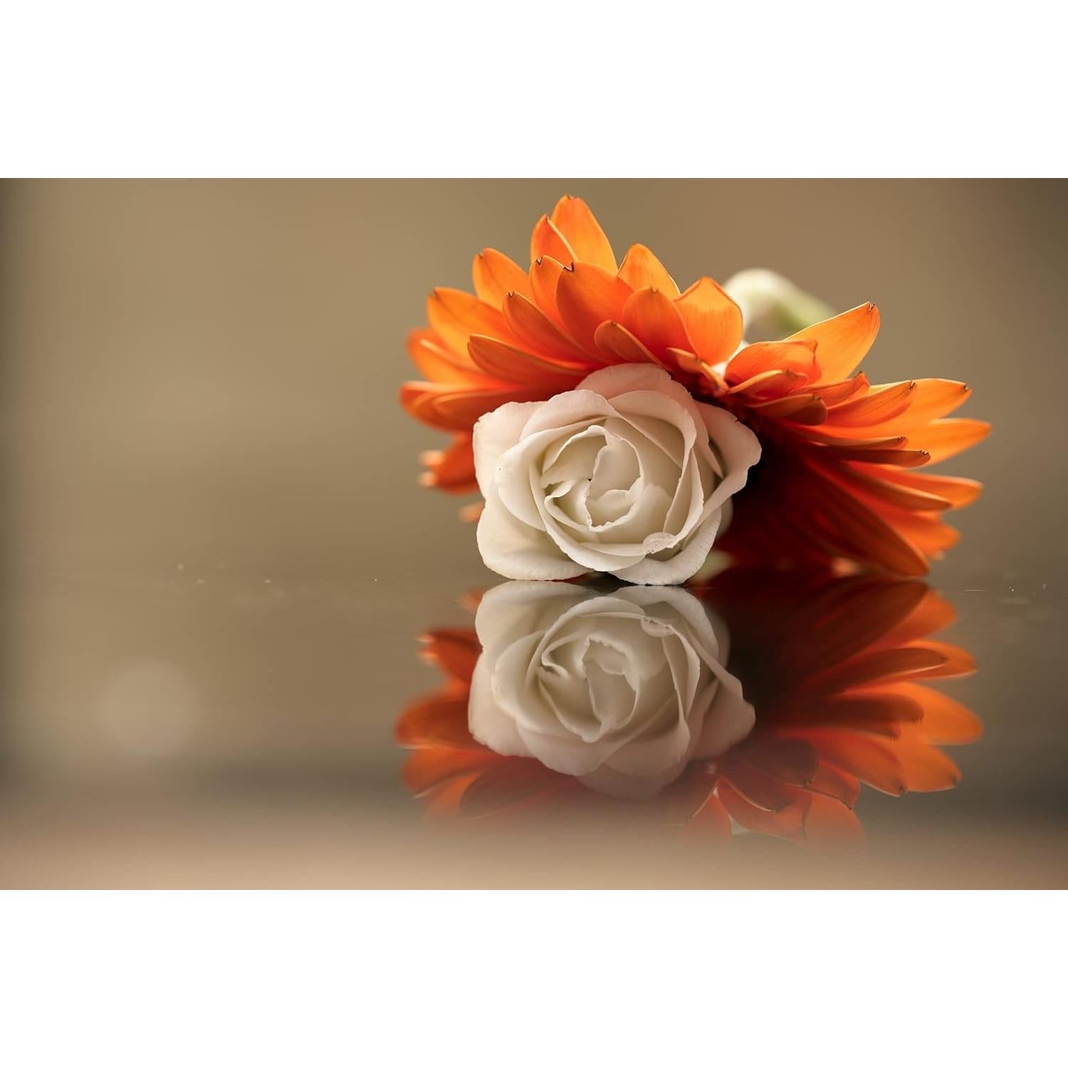 Lente Macro Nikon NIKKOR Z MC 105mm f/2.8 VR S