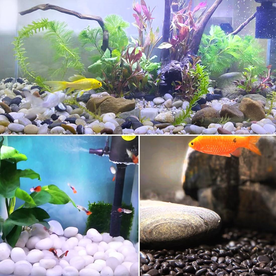 Piedras Negras Naturales YISZM 2-7.6cm para Jardín 2.27kg