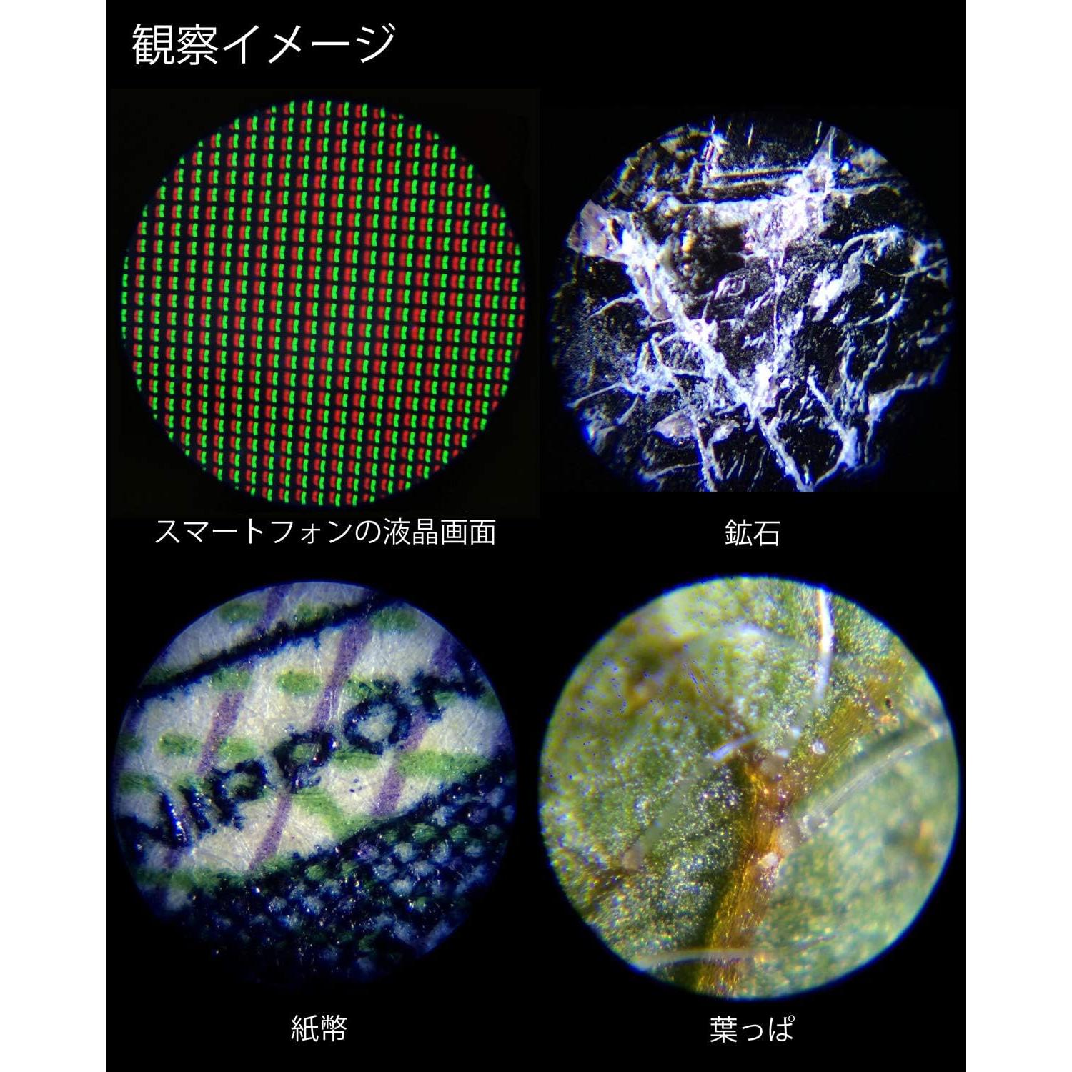 Microscopio Kenko Do.Nature STV-120M 60x-120x con Luz LED