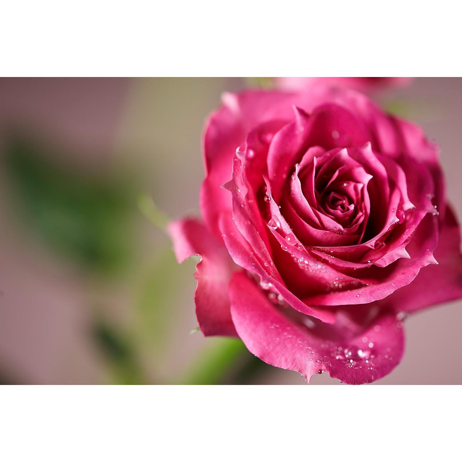 Lente Macro Samyang 100 mm F2.8 para Cámara Sony A