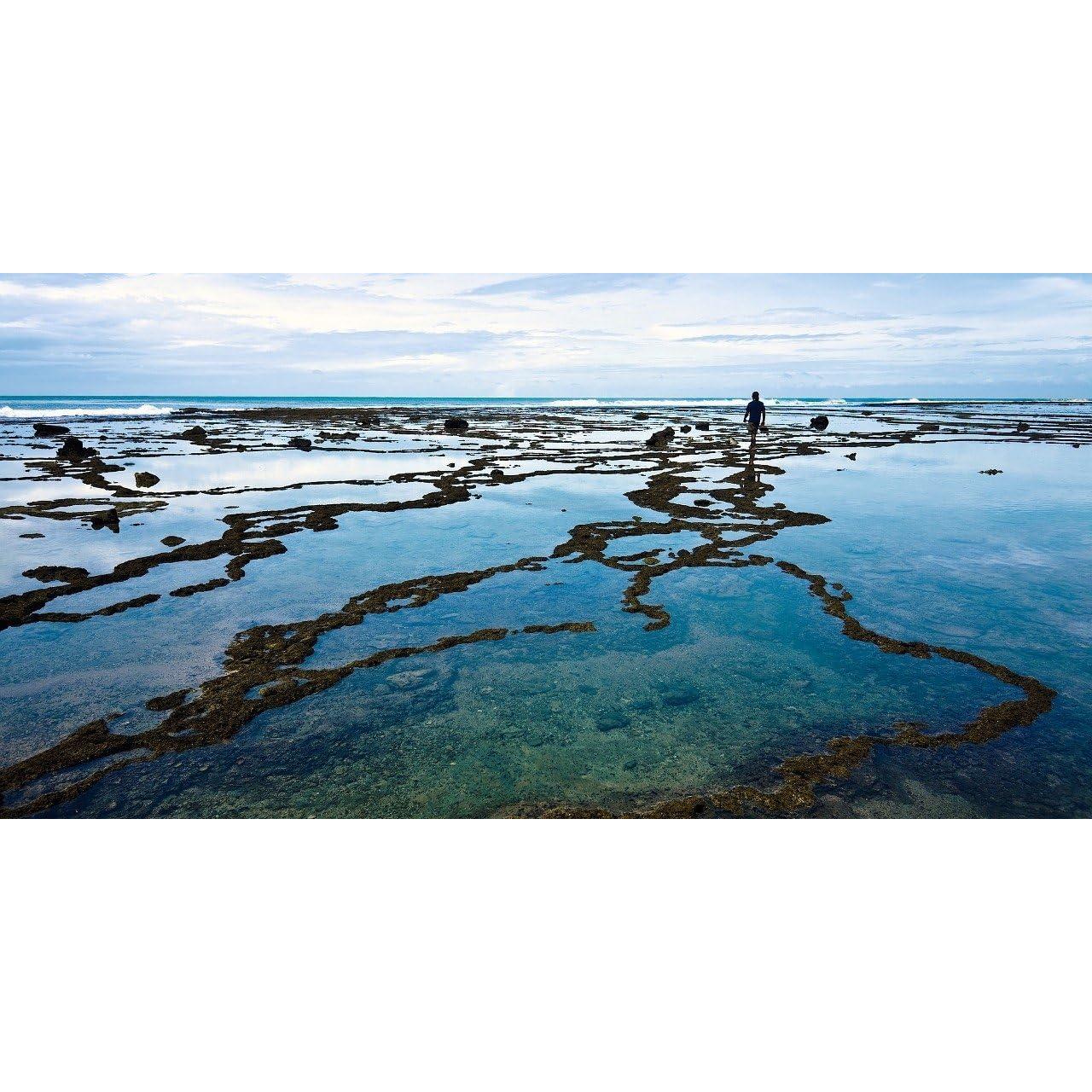 Filtros UV y Polarizador Circular ZEISS T* 72mm - Alta Calidad