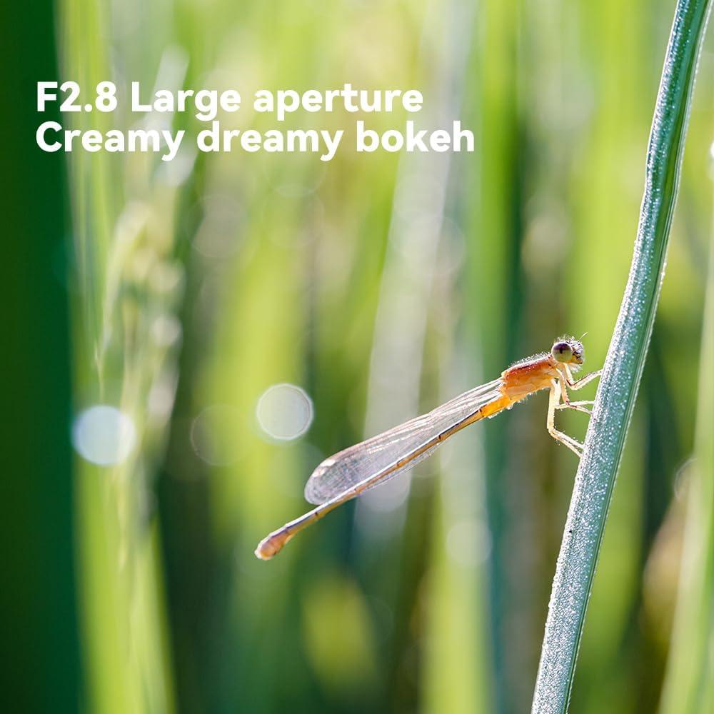 Objetivo Macro TTArtisan 40mm F2.8 MFT para Olympus/Panasonic