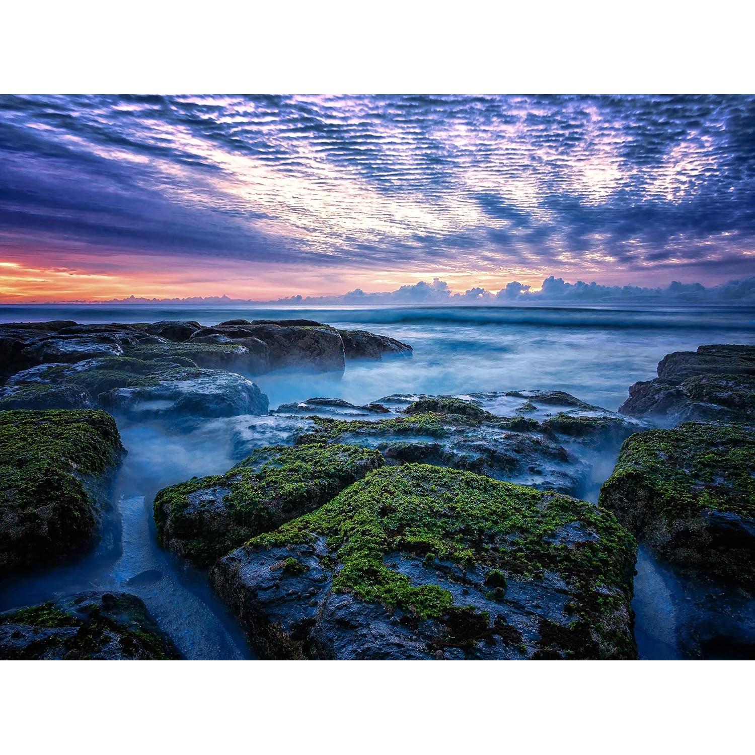 Lente Gran Angular Olympus M.Zuiko 12mm F2.0 Negro Micro Cuatro Tercios