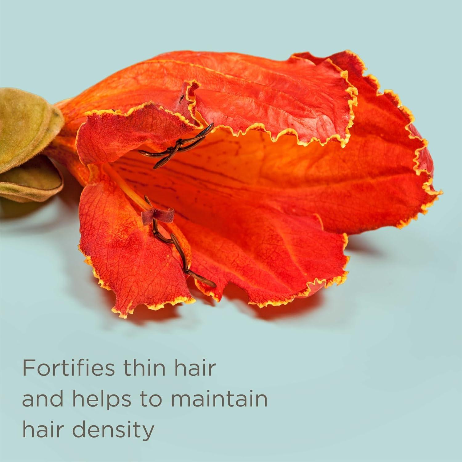 Spray Protector Térmico Hairitage 177 ml - Hasta 232 °C