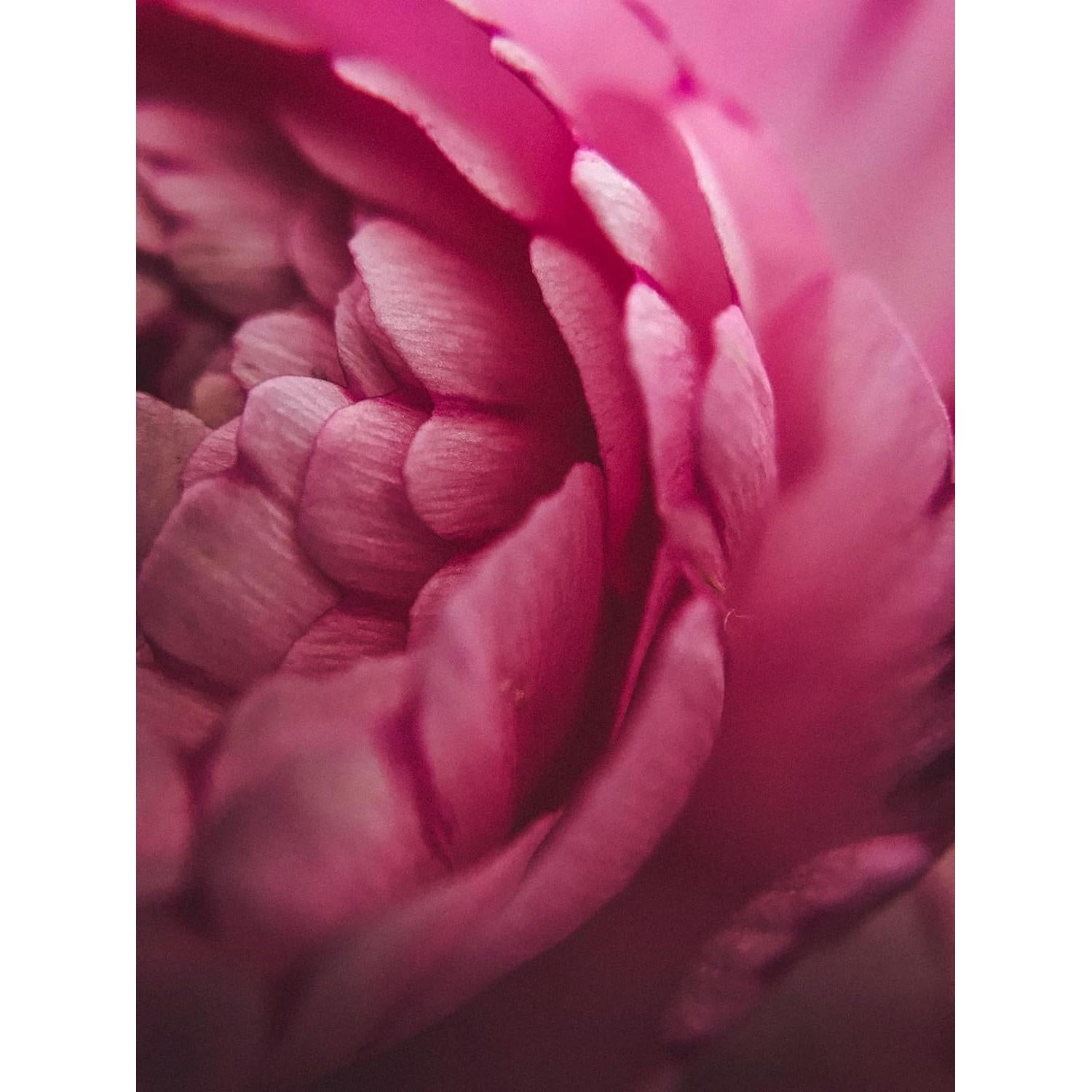 Lente Macro Digital Nc 10x para Cámaras DSLR 37mm