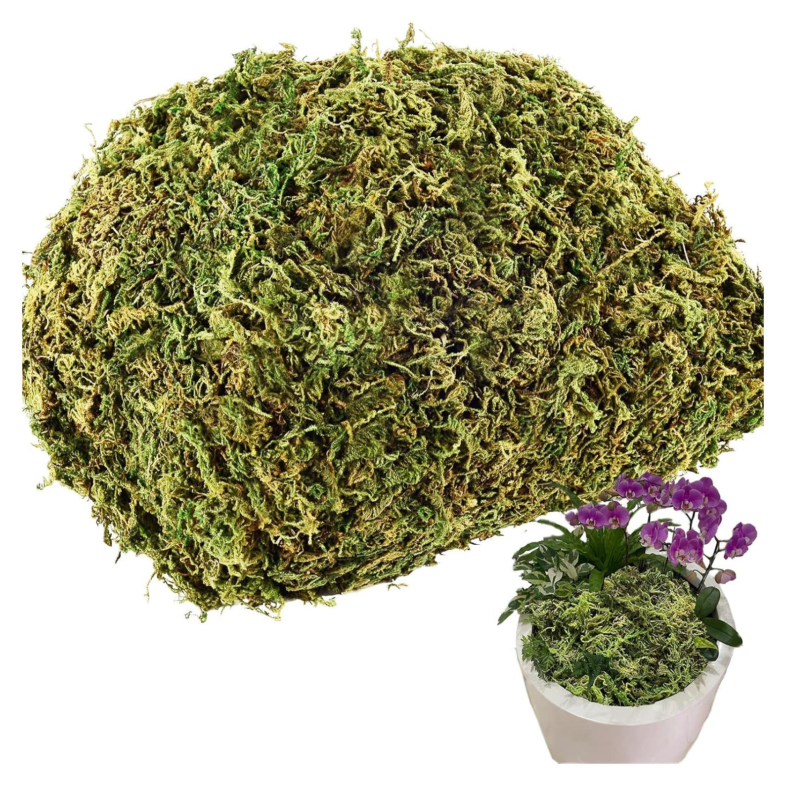 Musgo Artificial Cigoby 115g para Macetas y Decoración