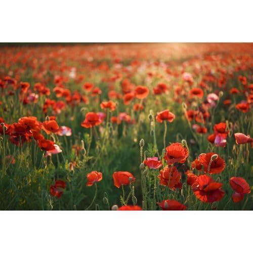 Lente Sigma 28-45mm f1.8 DG DN Art para Sony E - Ultra Rápido