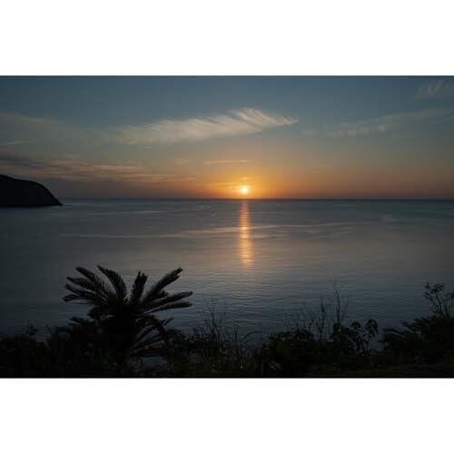 Lente Sigma 28-45mm f1.8 DG DN Art para Sony E - Ultra Rápido