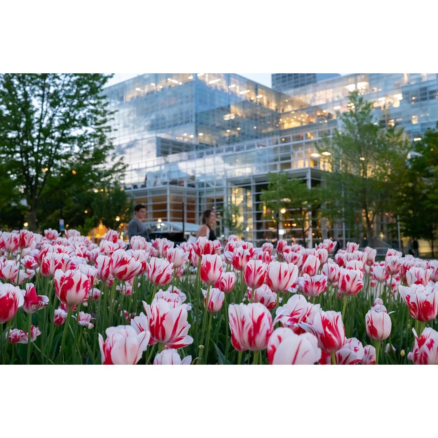 Lente Sigma 28-45mm f1.8 DG DN Art para Sony E - Ultra Rápido