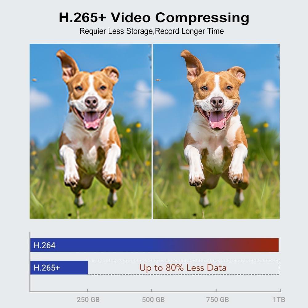 Cámara de Seguridad Dome IP 5MP PoE 180° Visión Nocturna IR