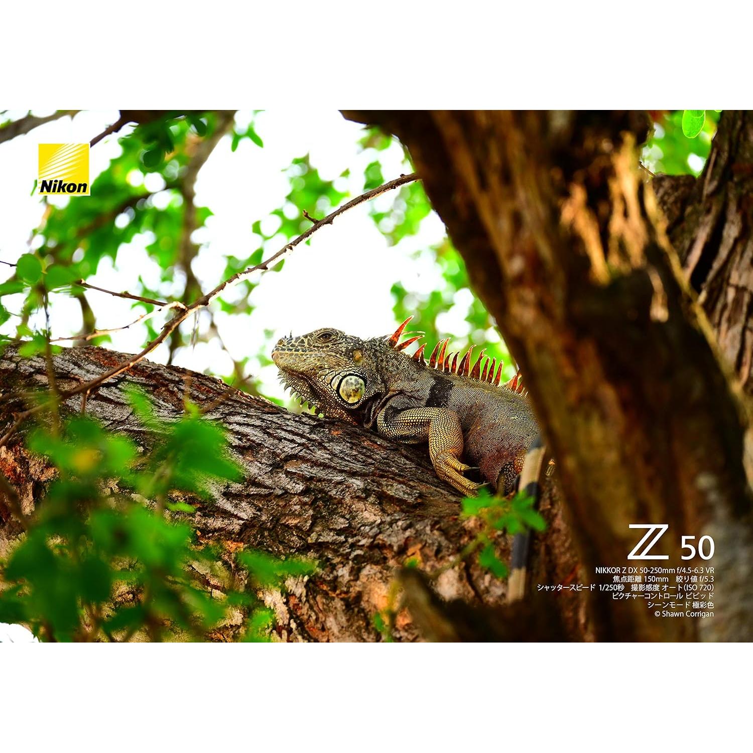 Objetivo Nikon Nikkor Z DX 50-250mm F4.5-6.3 VR Compacto