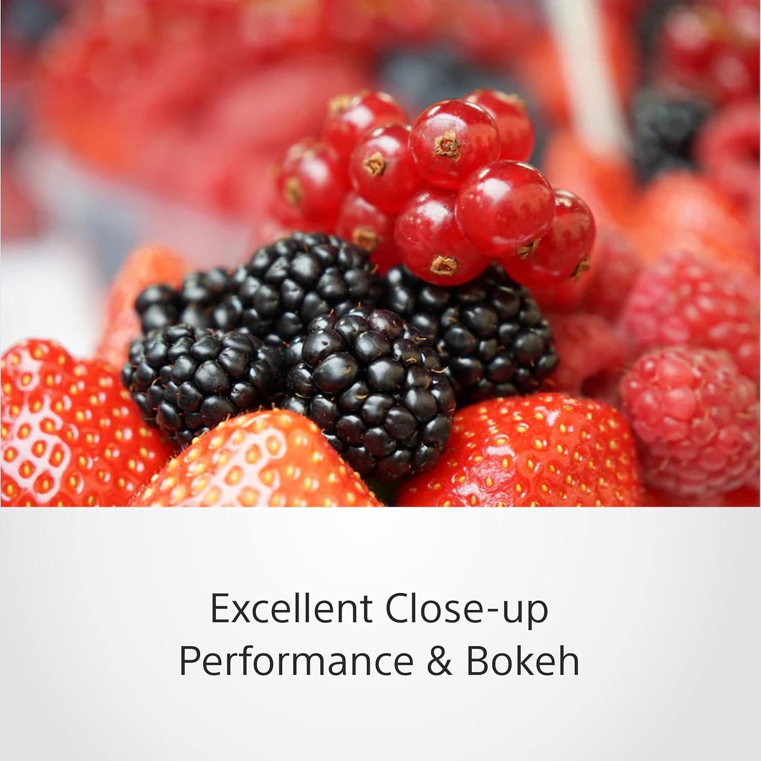 Lente Zoom Sony SEL1670Z 16-70 mm F4 Zeiss APS-C