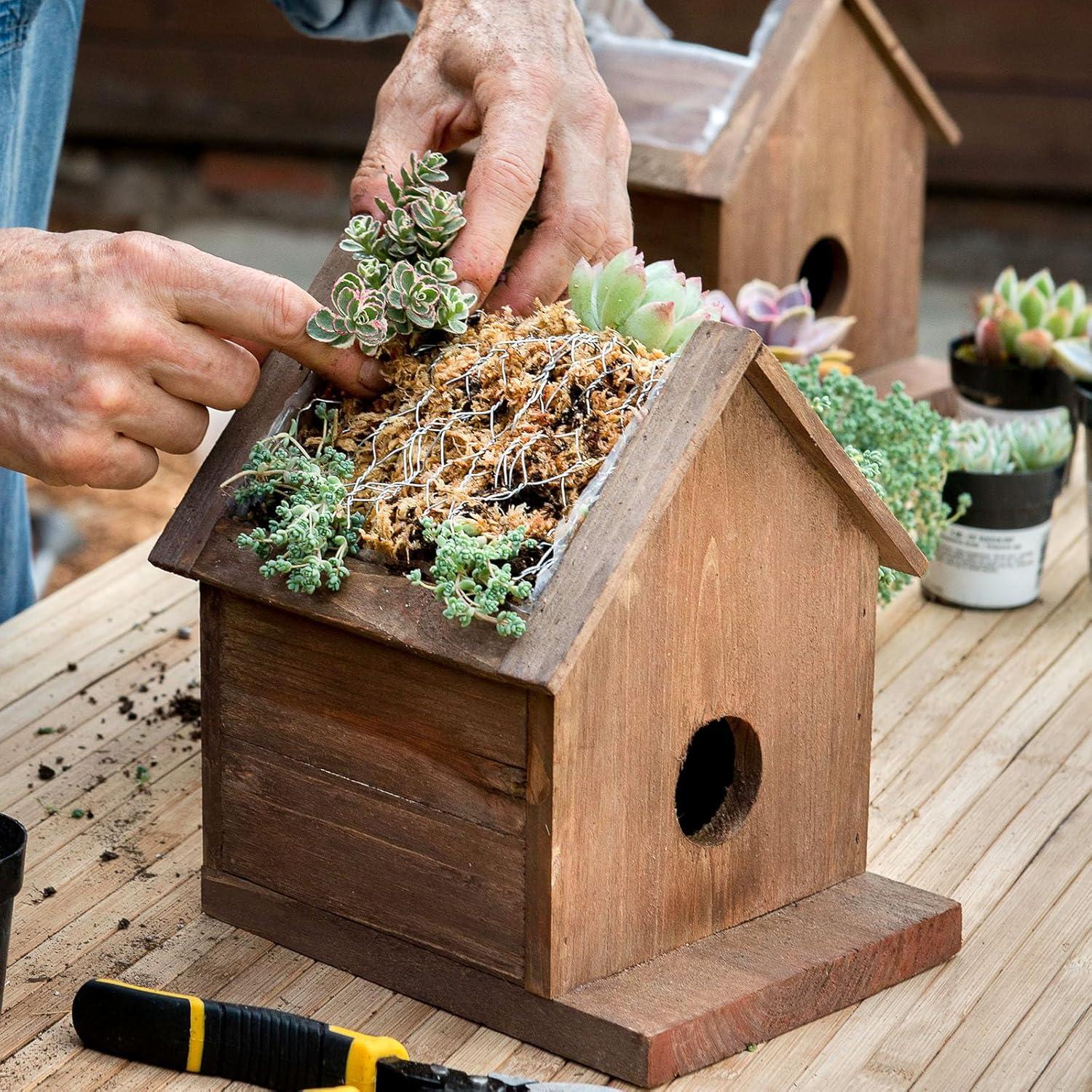 Musgo Sphagnum SuperMoss 22306, 175 Pulgadas Cúbicas, Grado Premium