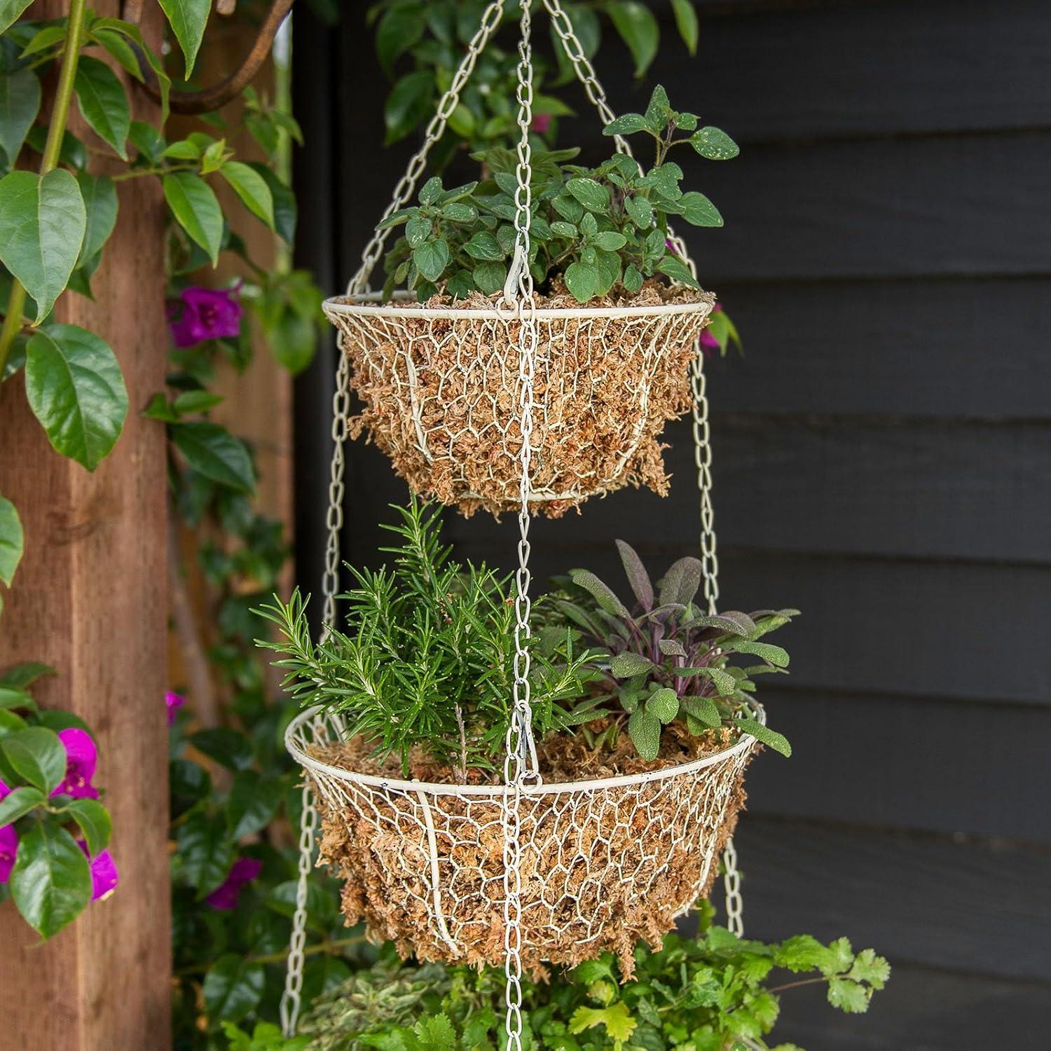 Musgo Sphagnum SuperMoss 22306, 175 Pulgadas Cúbicas, Grado Premium