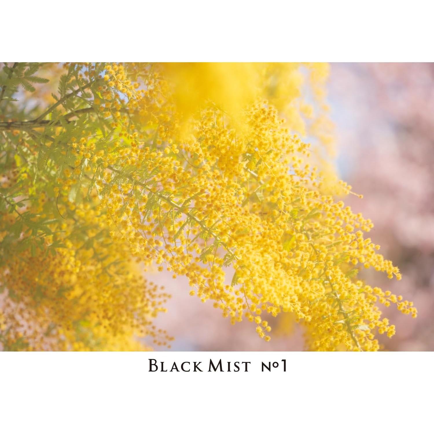 Filtro de Efecto Suave Kenko Black Mist No.1 55mm - Hecho en Japón