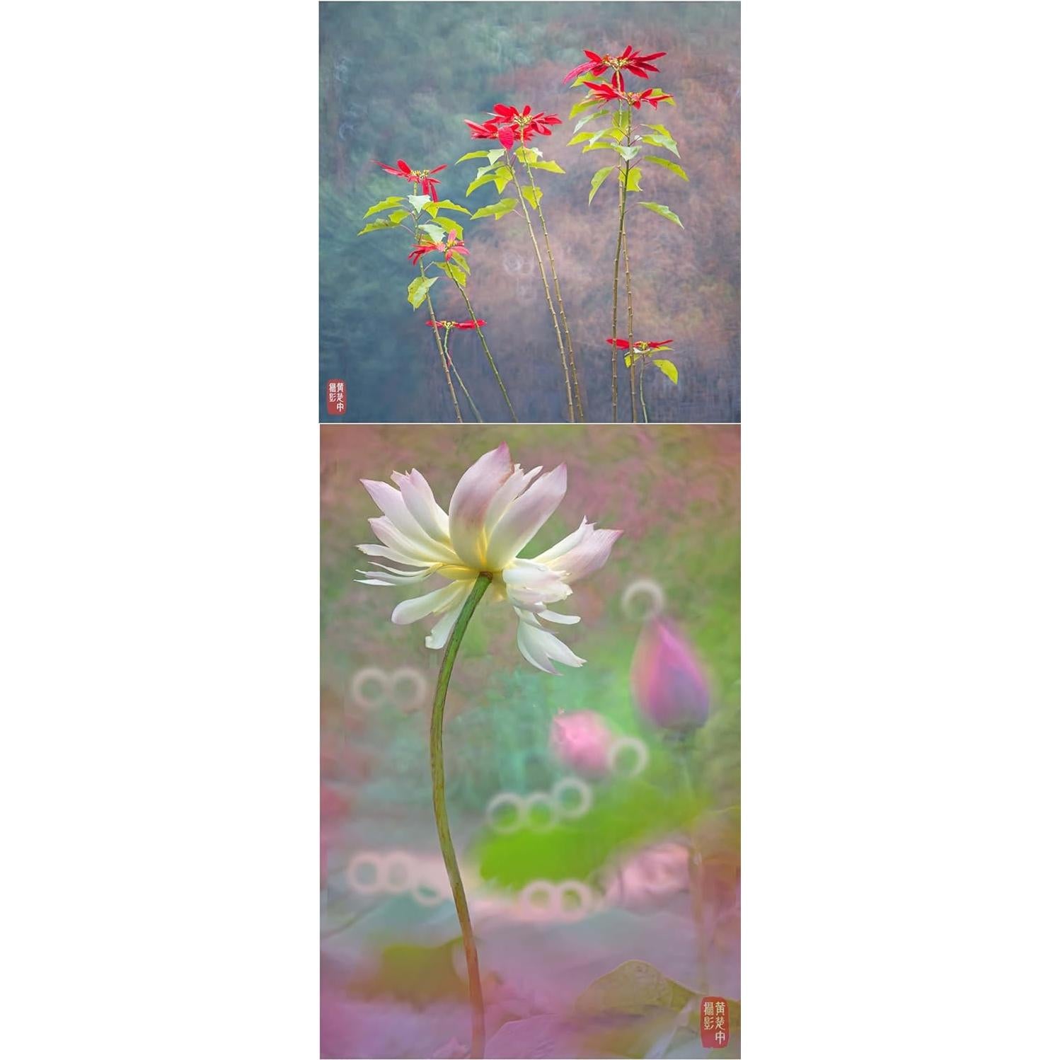 Lente Retrato Kase 200mm F5.6 MC Reflex para Sony E