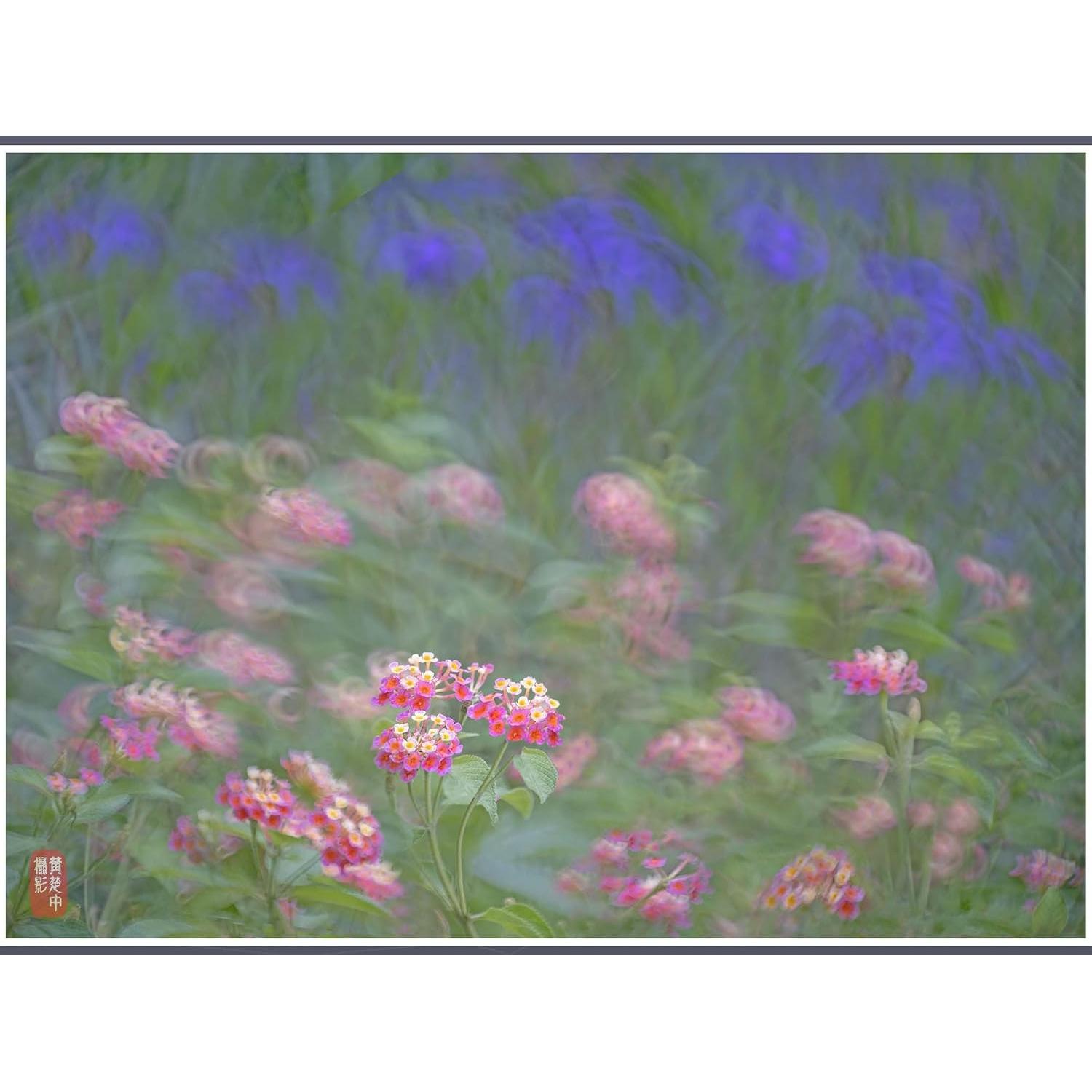 Lente Retrato Kase 200mm F5.6 MC Reflex para Sony E